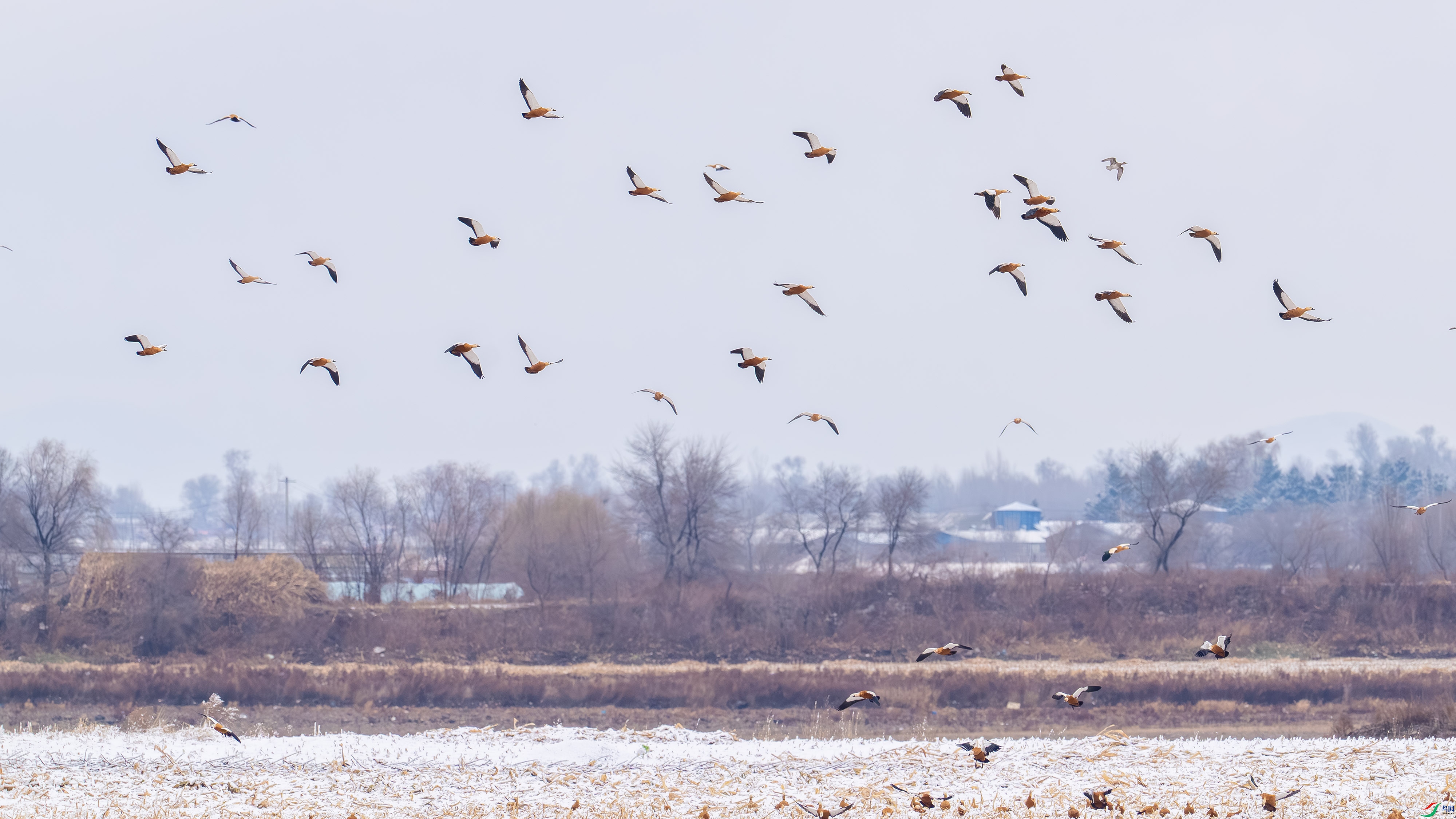 _DSC0117 ����.jpg