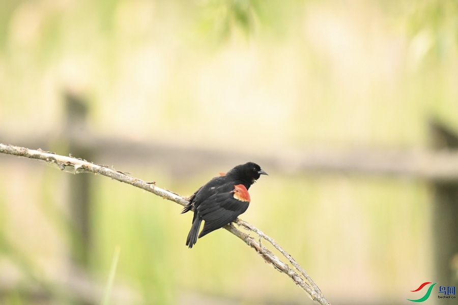 DSC_7759.jpg