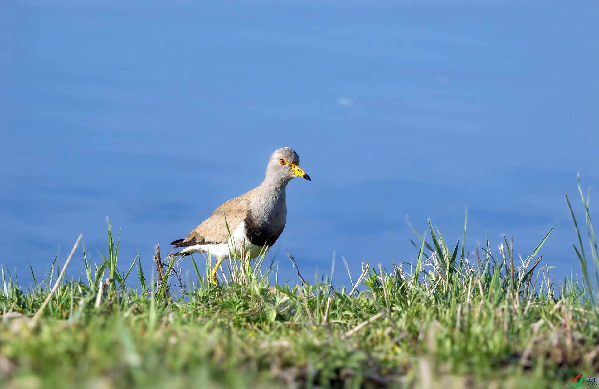 DSC08210 ����.jpg