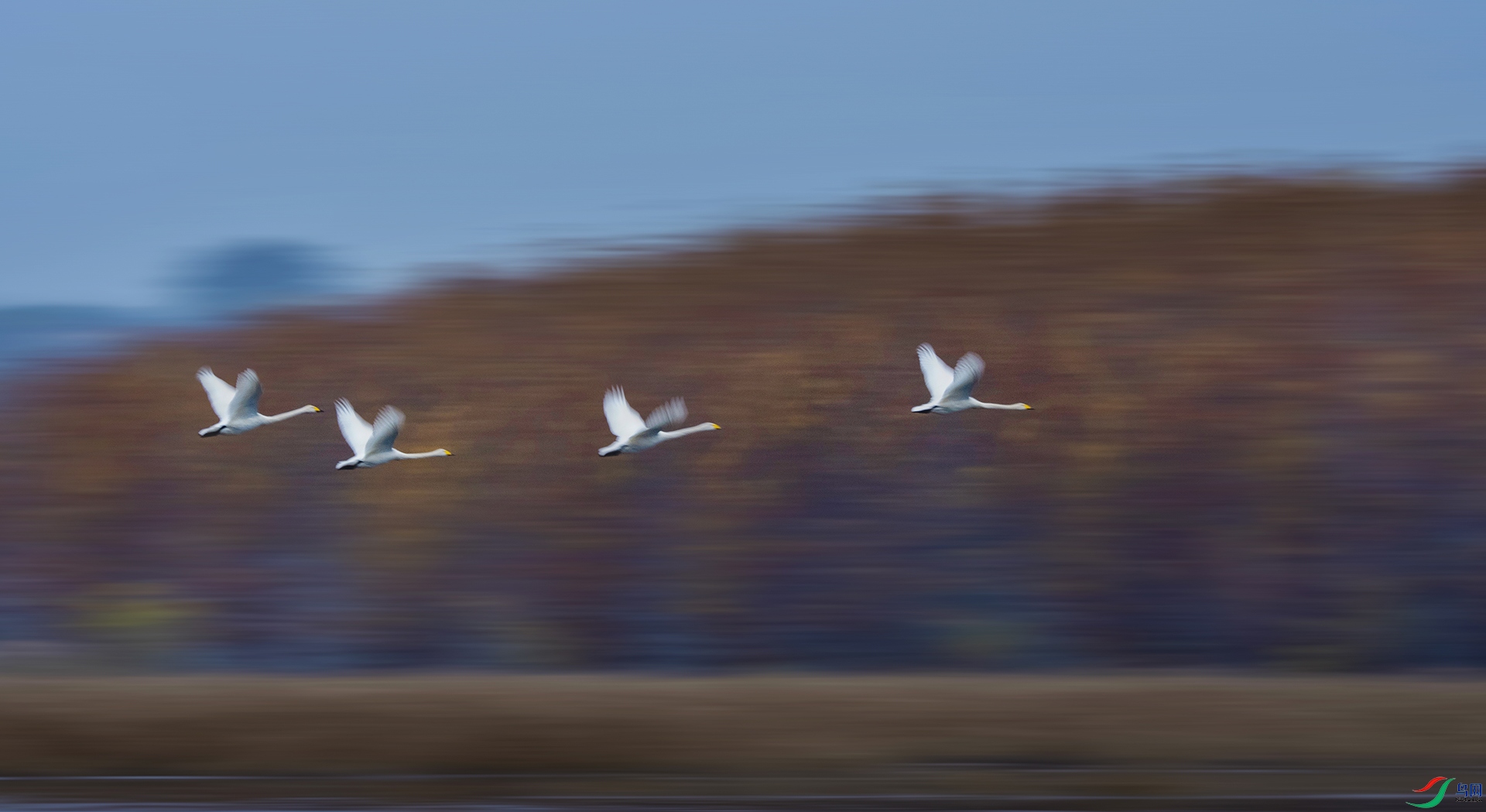DSC03704 a.jpg