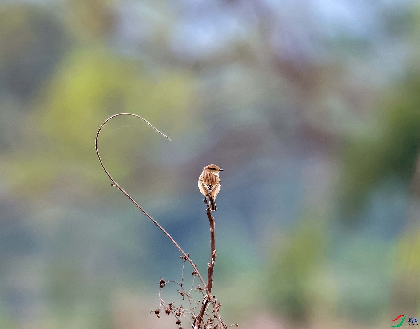 0J2A7620-0.jpg