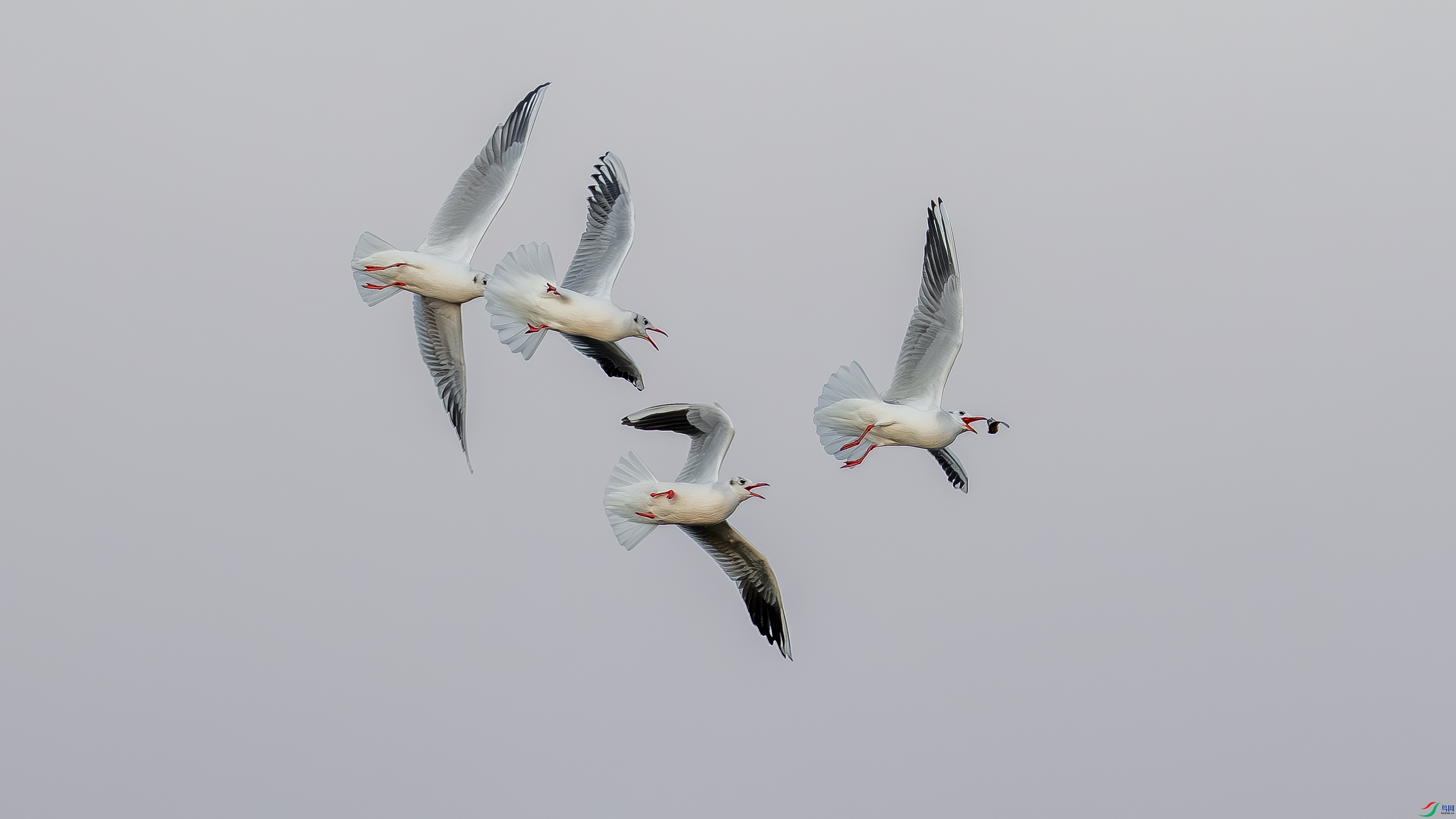 DSC06937 ����.jpg