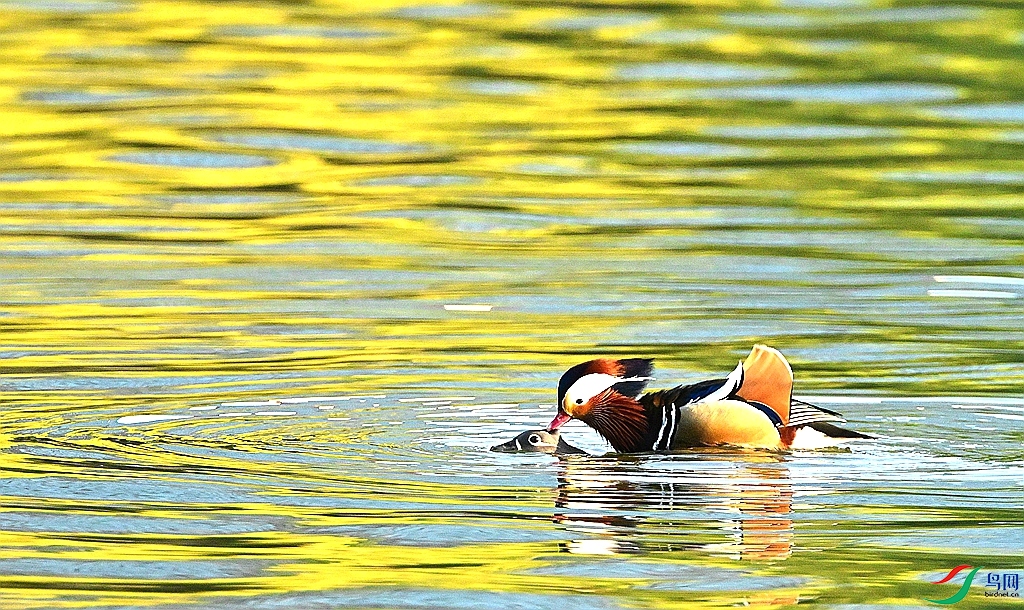 DSC_6186.JPG