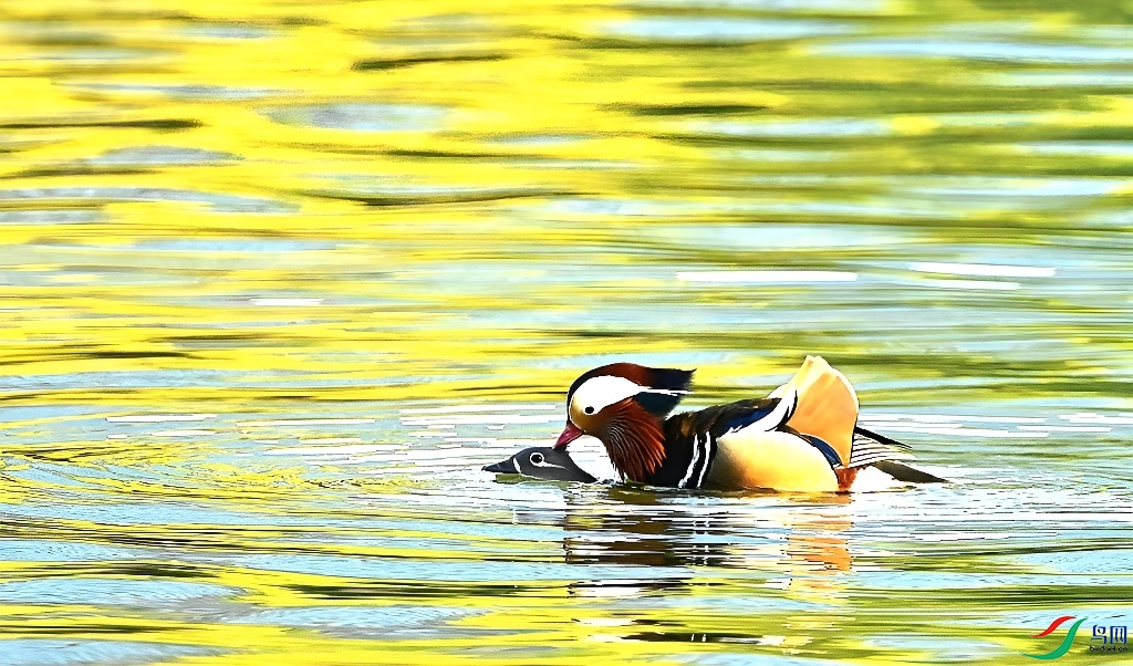 DSC_6189.JPG