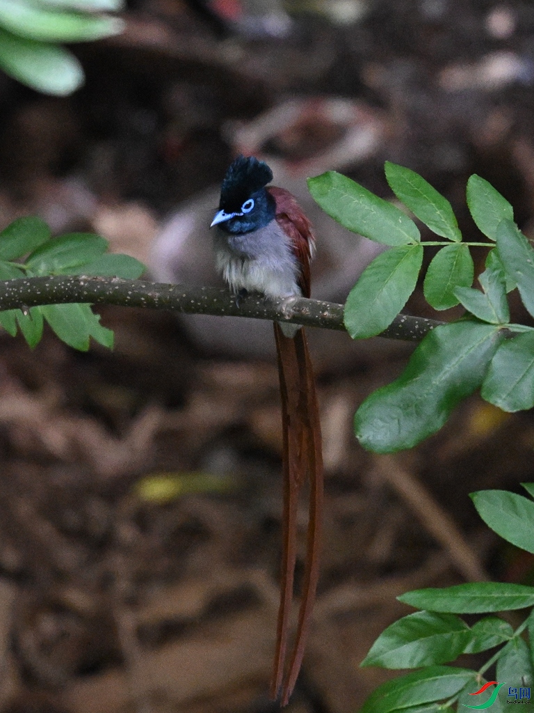 DSC_8110.JPG