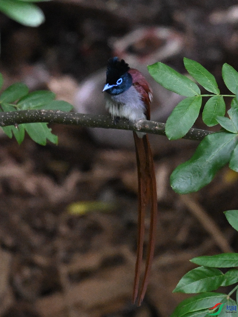 DSC_8121.JPG