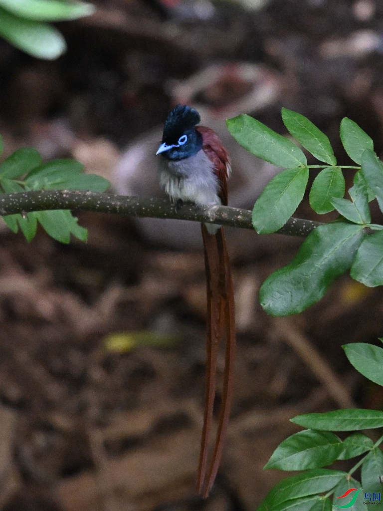 DSC_8106.JPG