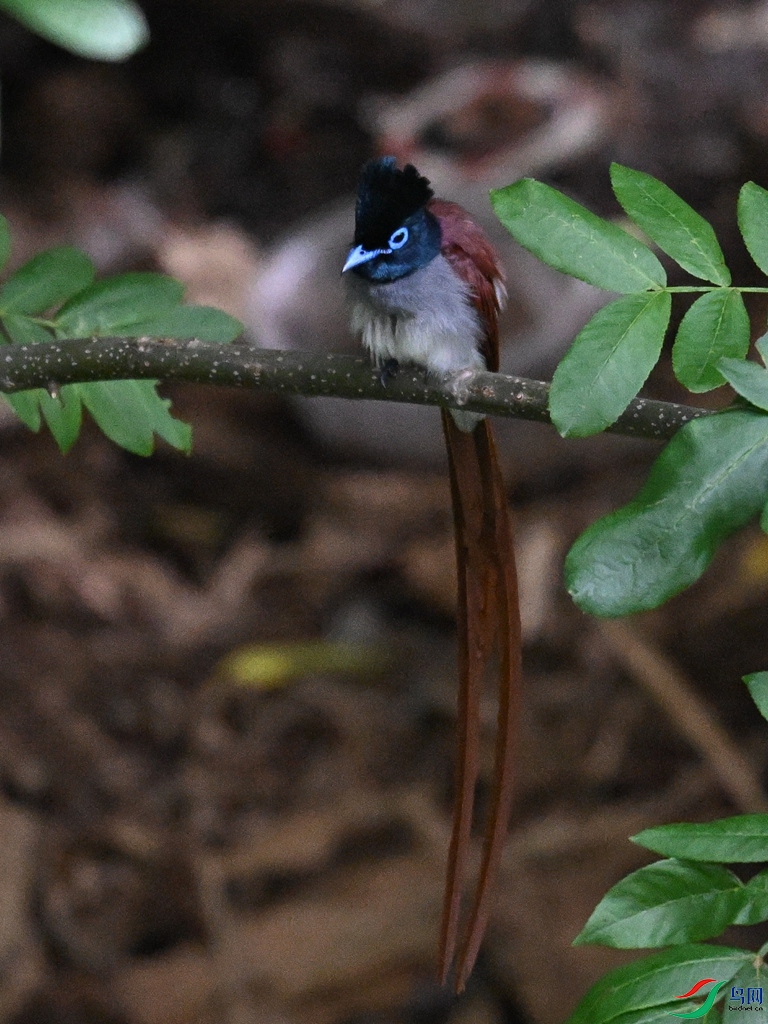 DSC_8120.JPG