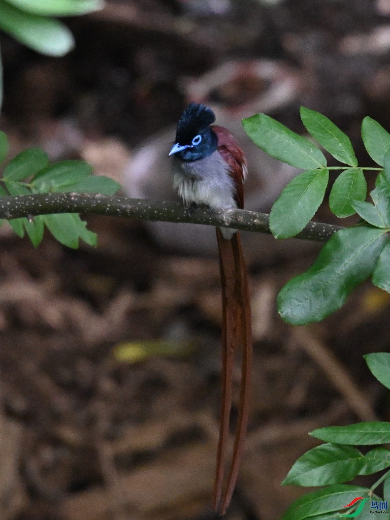DSC_8107.JPG