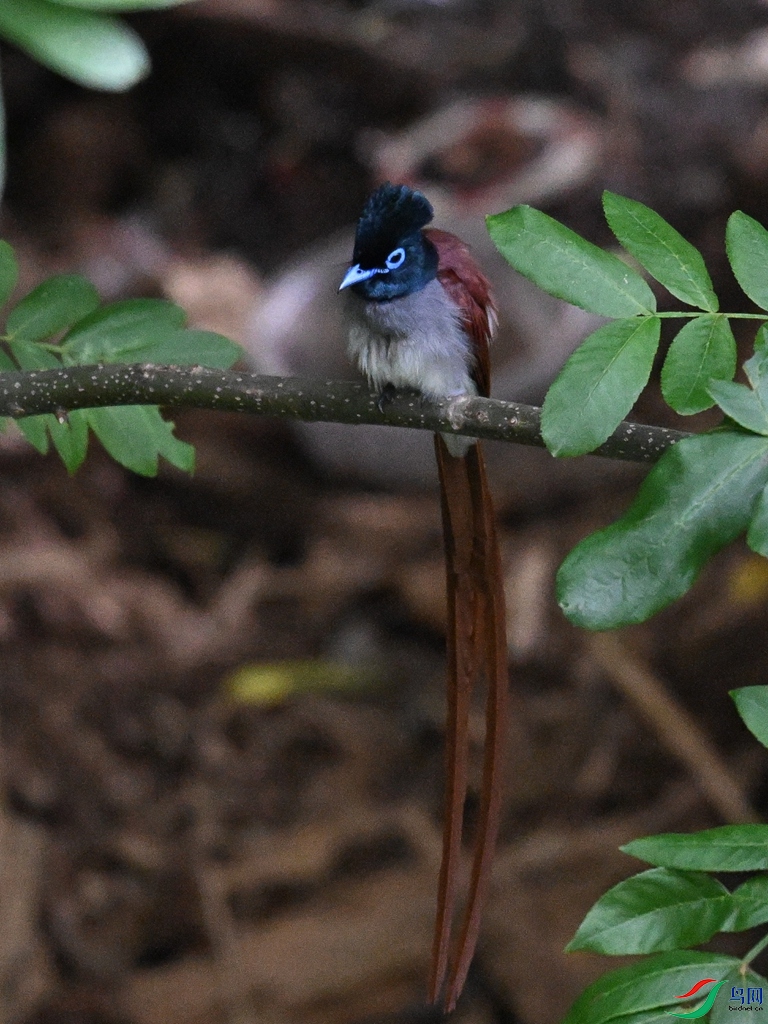 DSC_8108.JPG