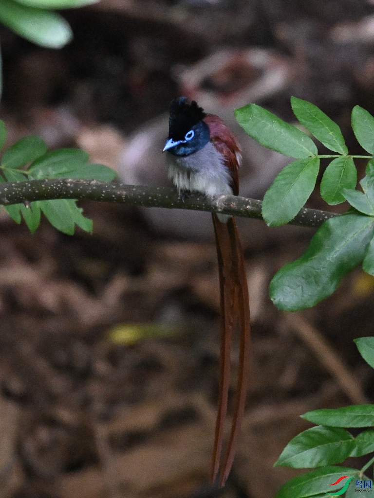 DSC_8122.JPG