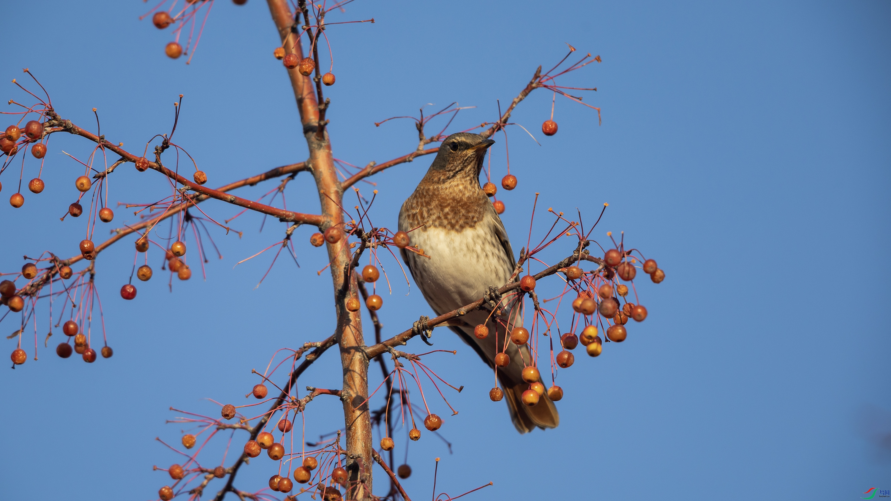 0O7A6270 ����99.jpg