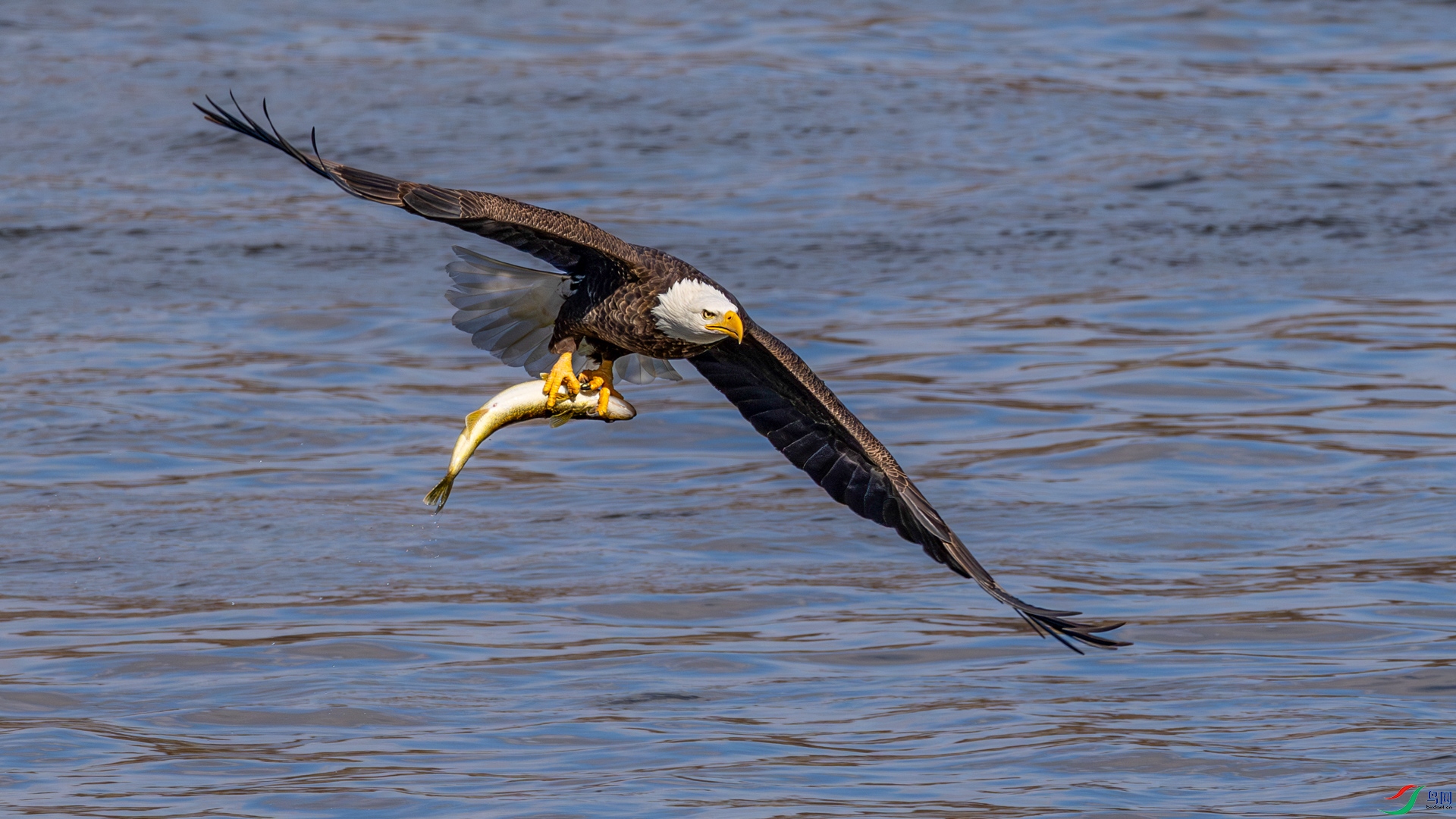 9I6A7724_1.jpg