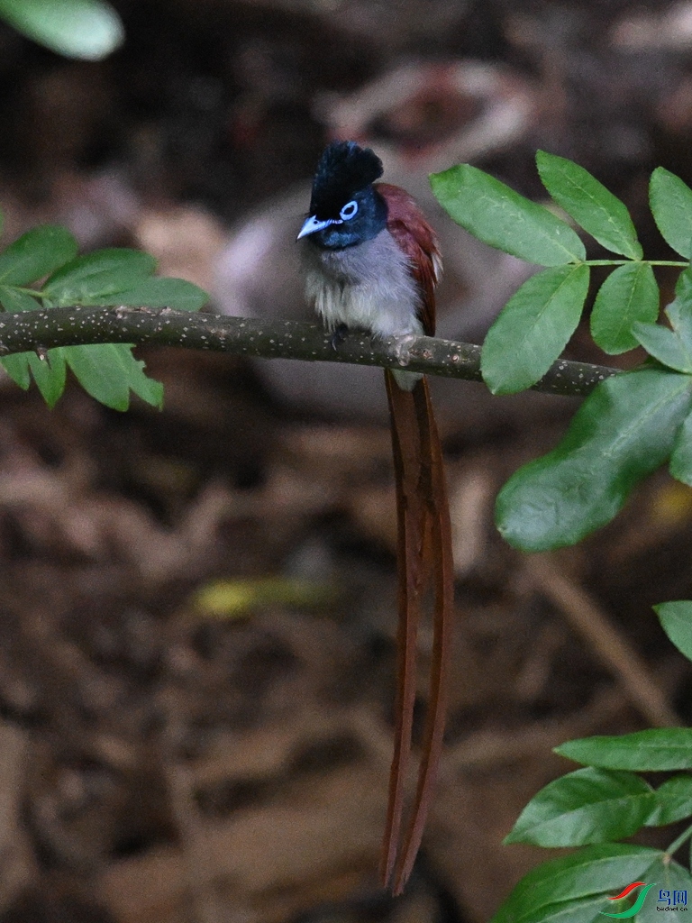 DSC_8113.JPG