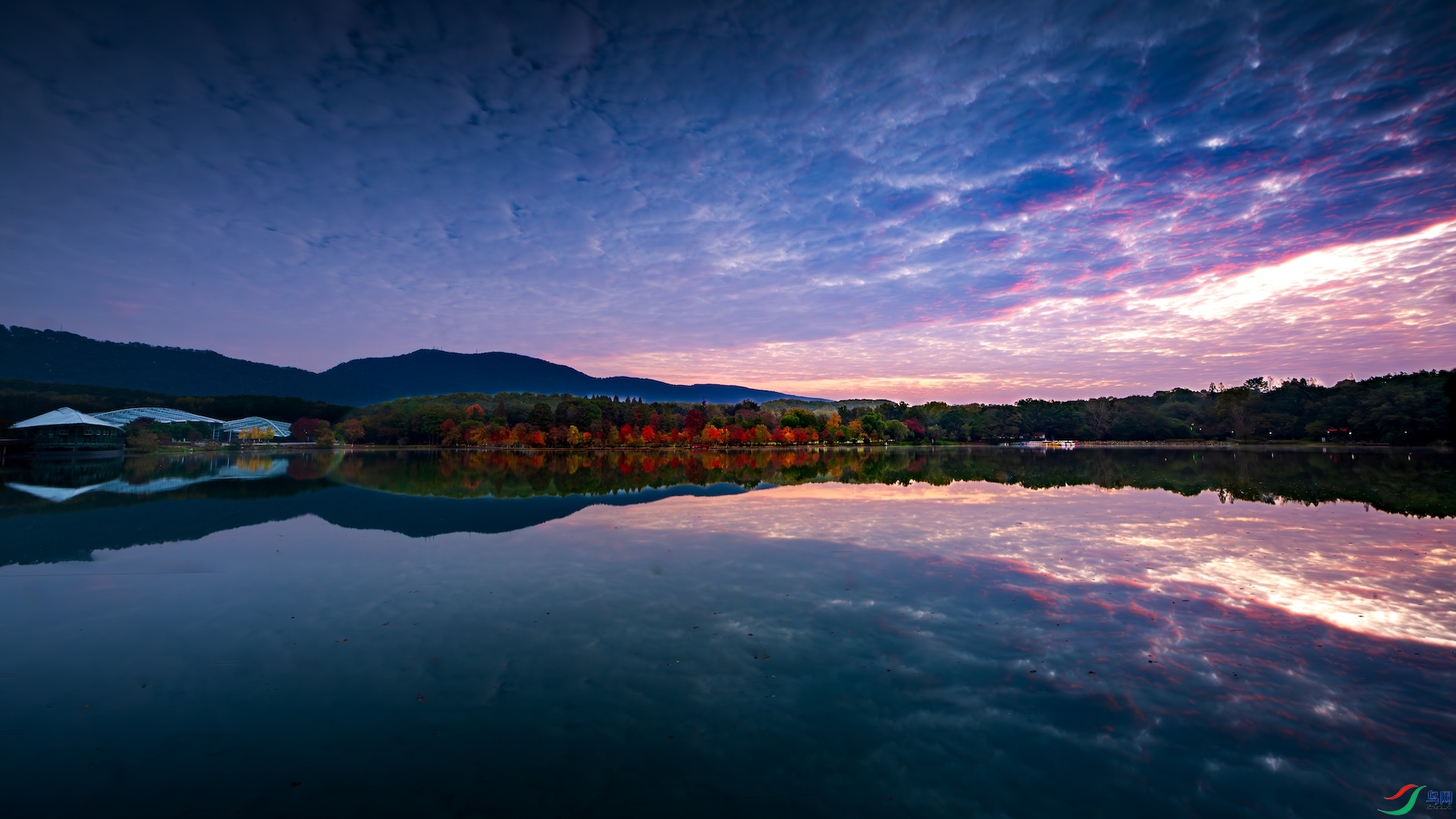 1_DSC5298-����ǿ-NR-1 2.jpeg