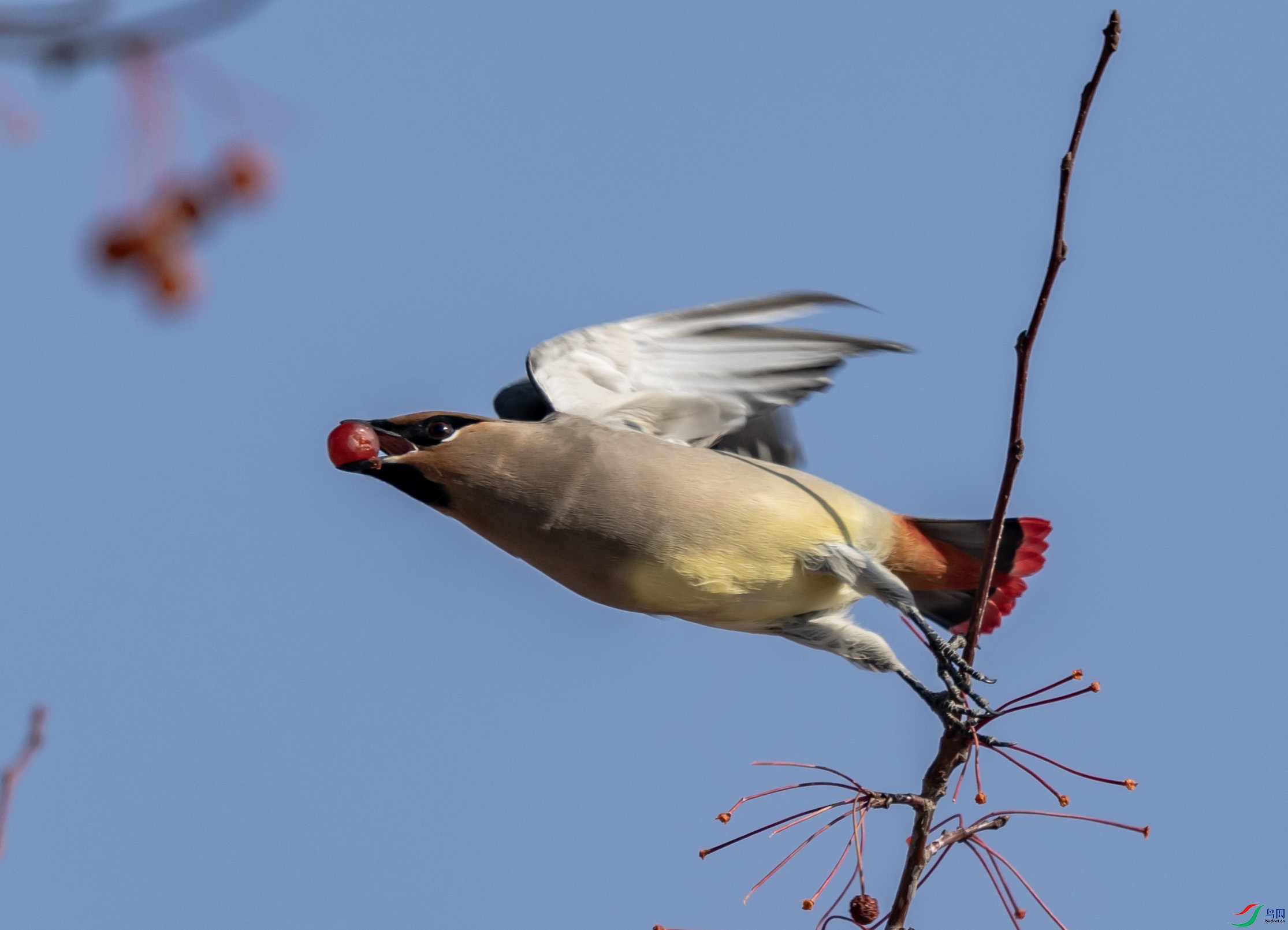 4K2A5669 С̫ƽ��000.jpg