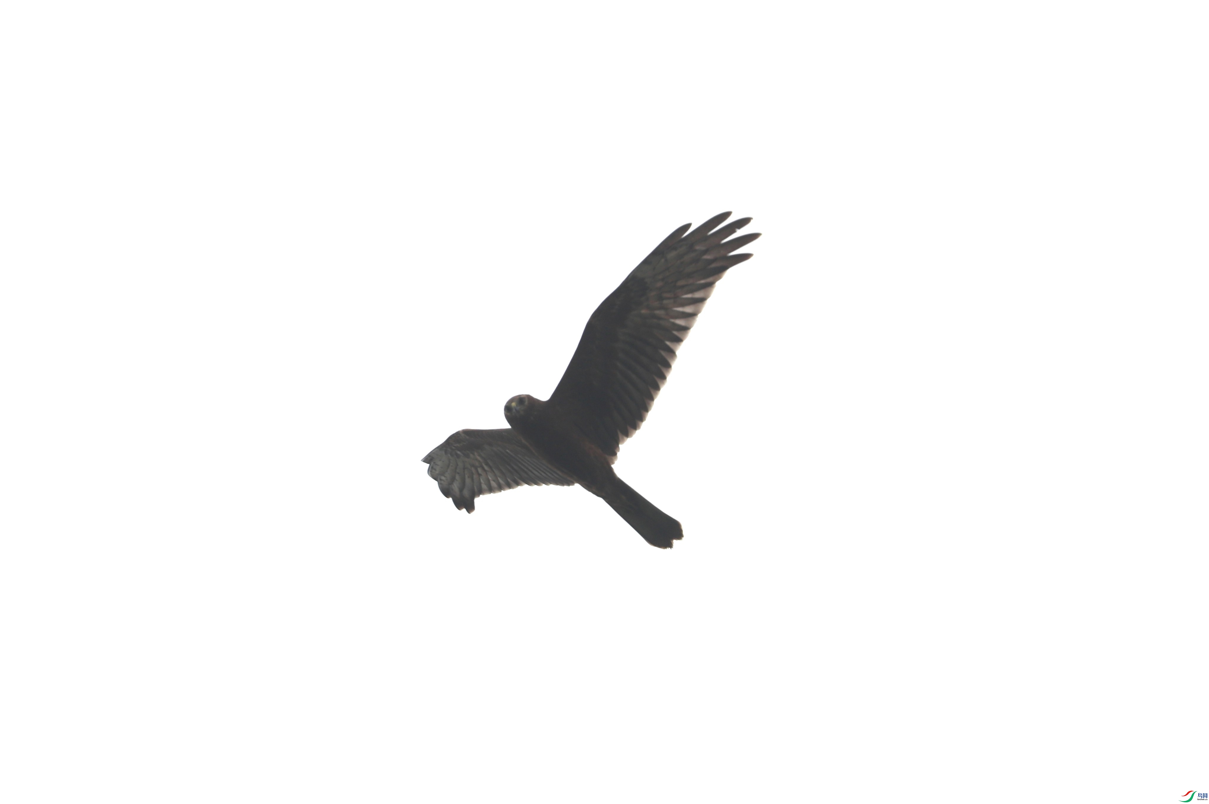 BL7A3258.JPG