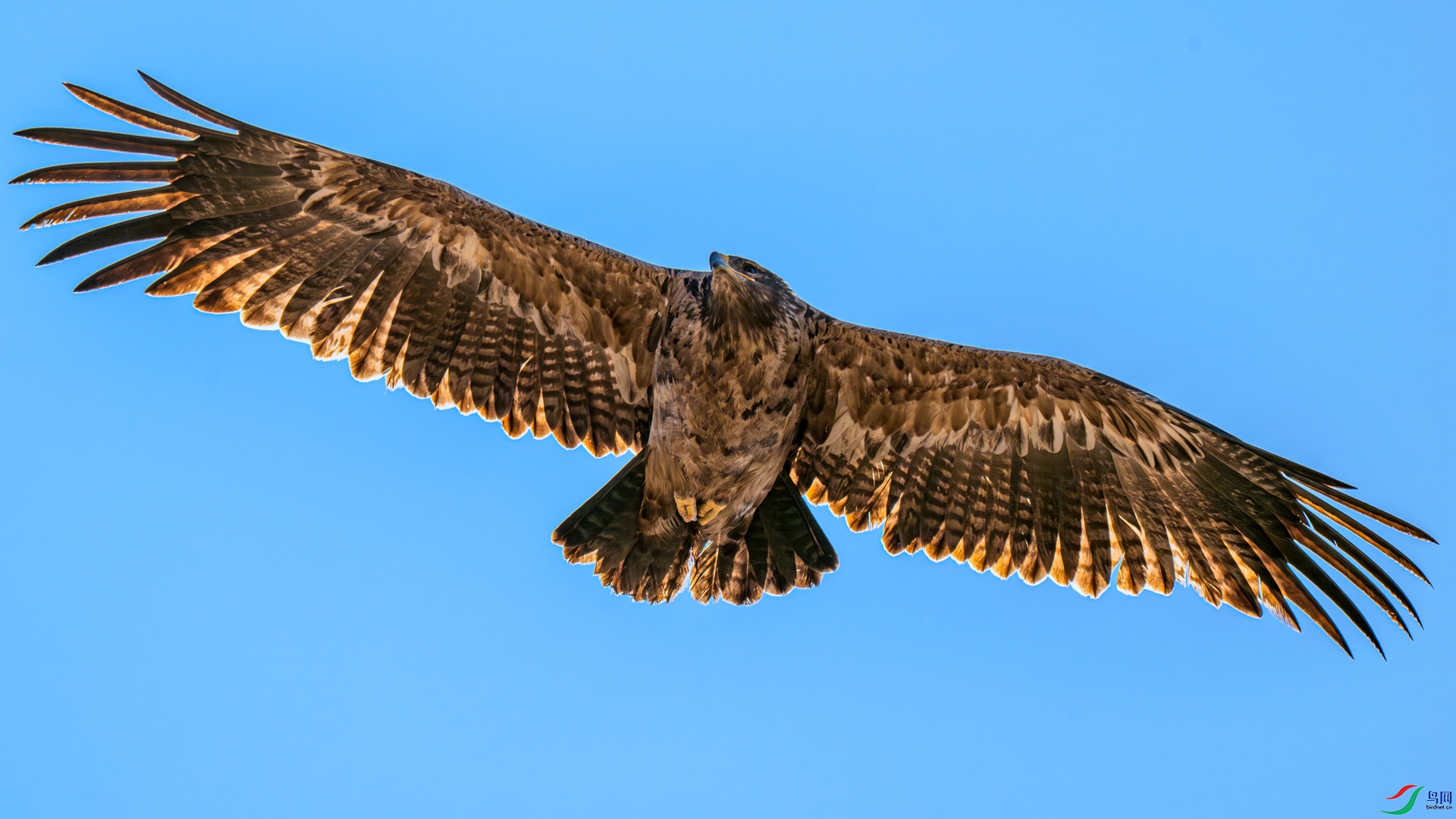 DSC_2685 ����_����.jpg