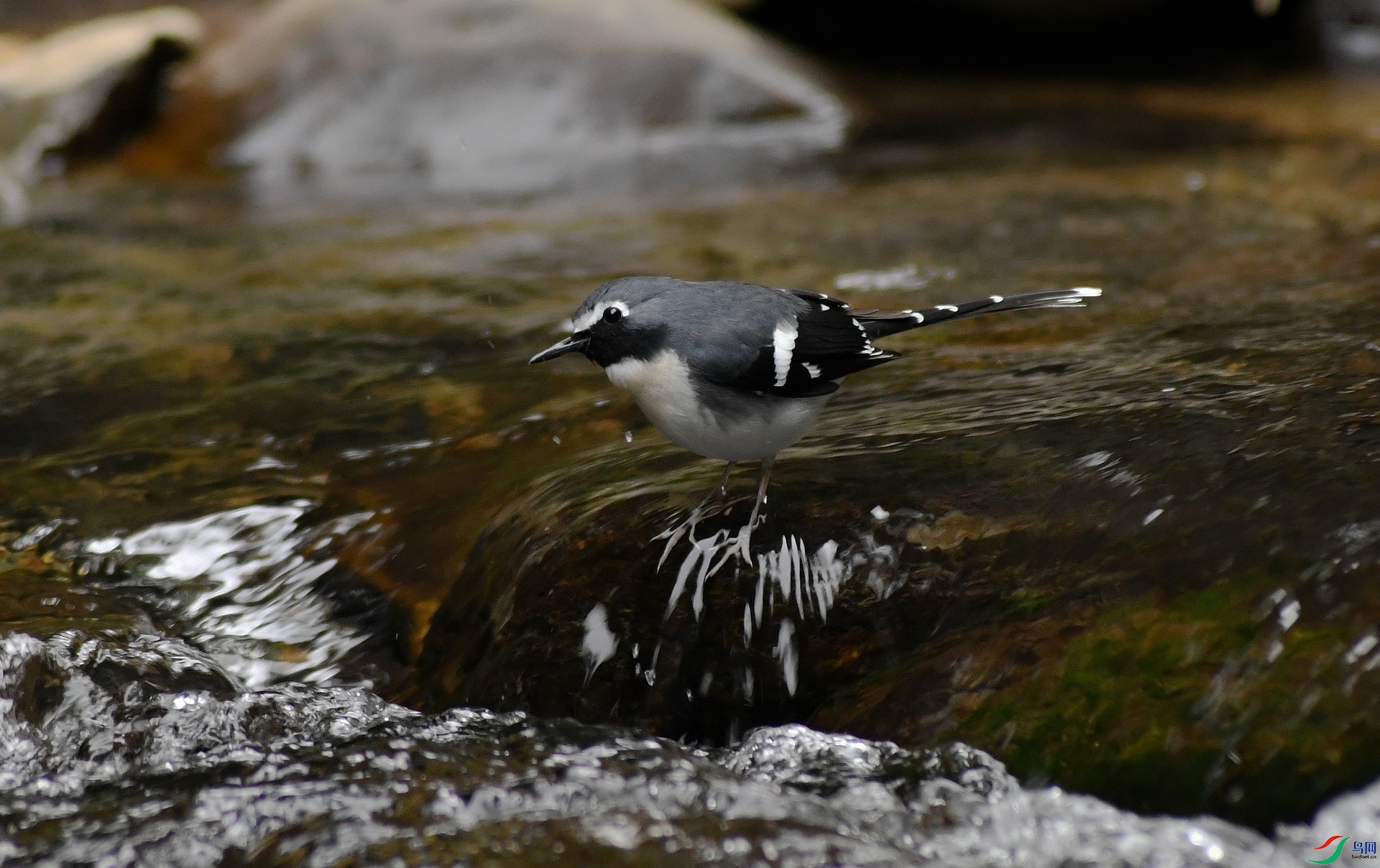 DSC_3251.jpg