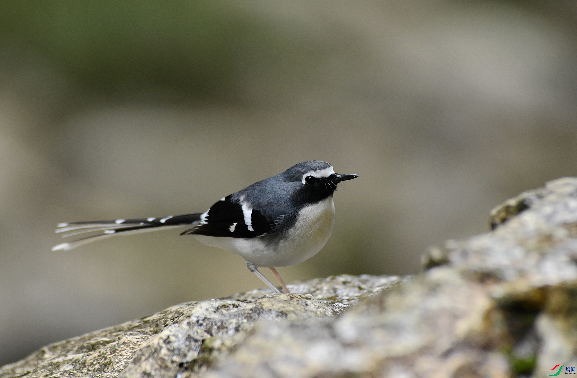 DSC_3226.jpg