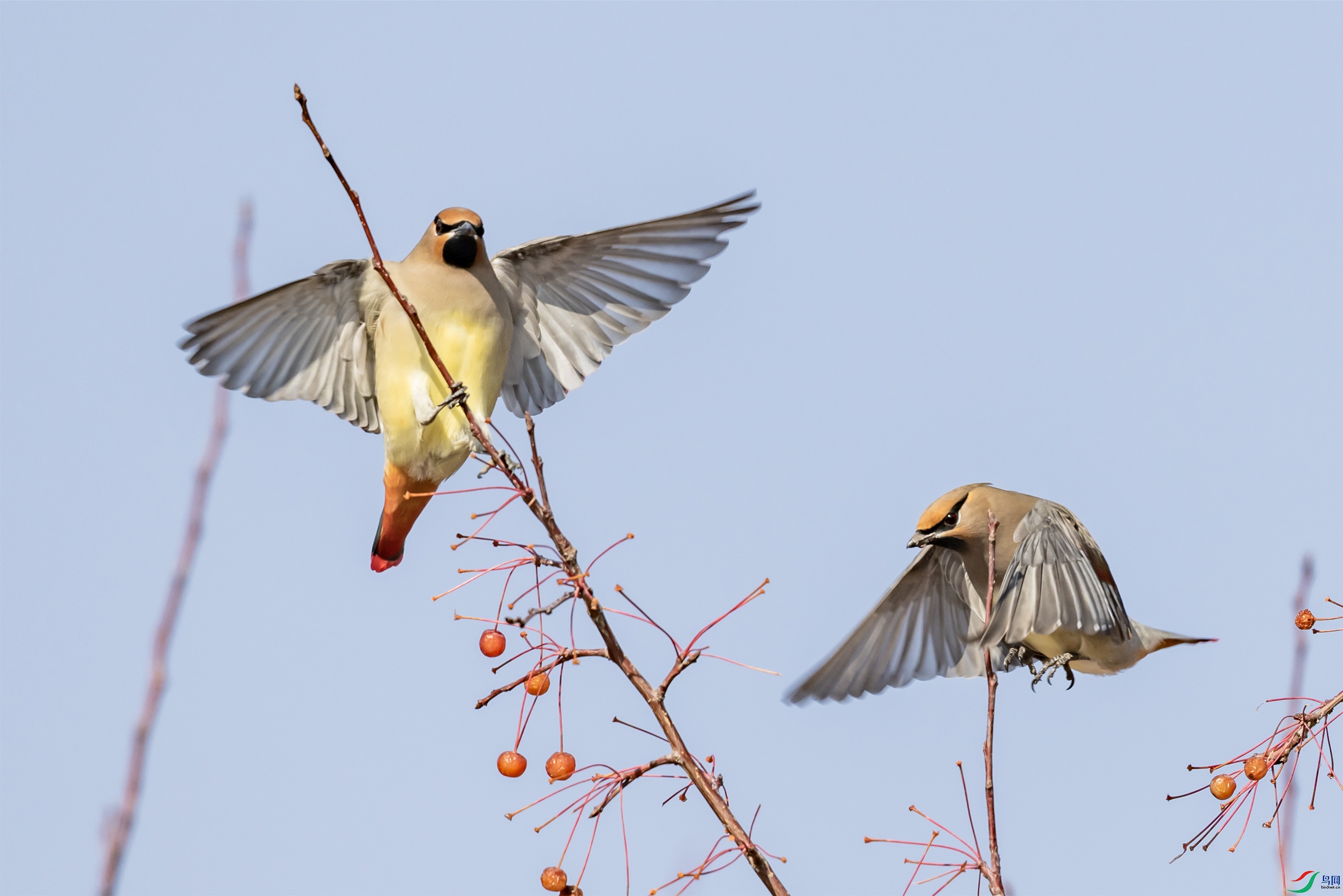 4K2A5738 С̫ƽ��003.jpg