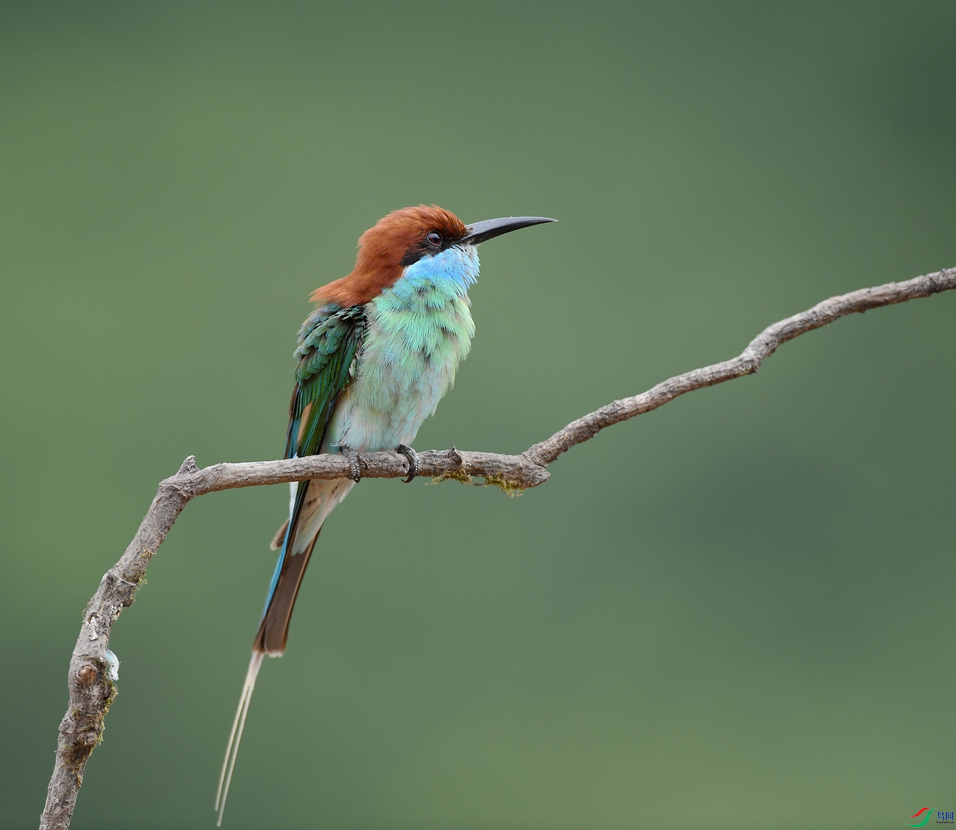 DSC_1115.jpg