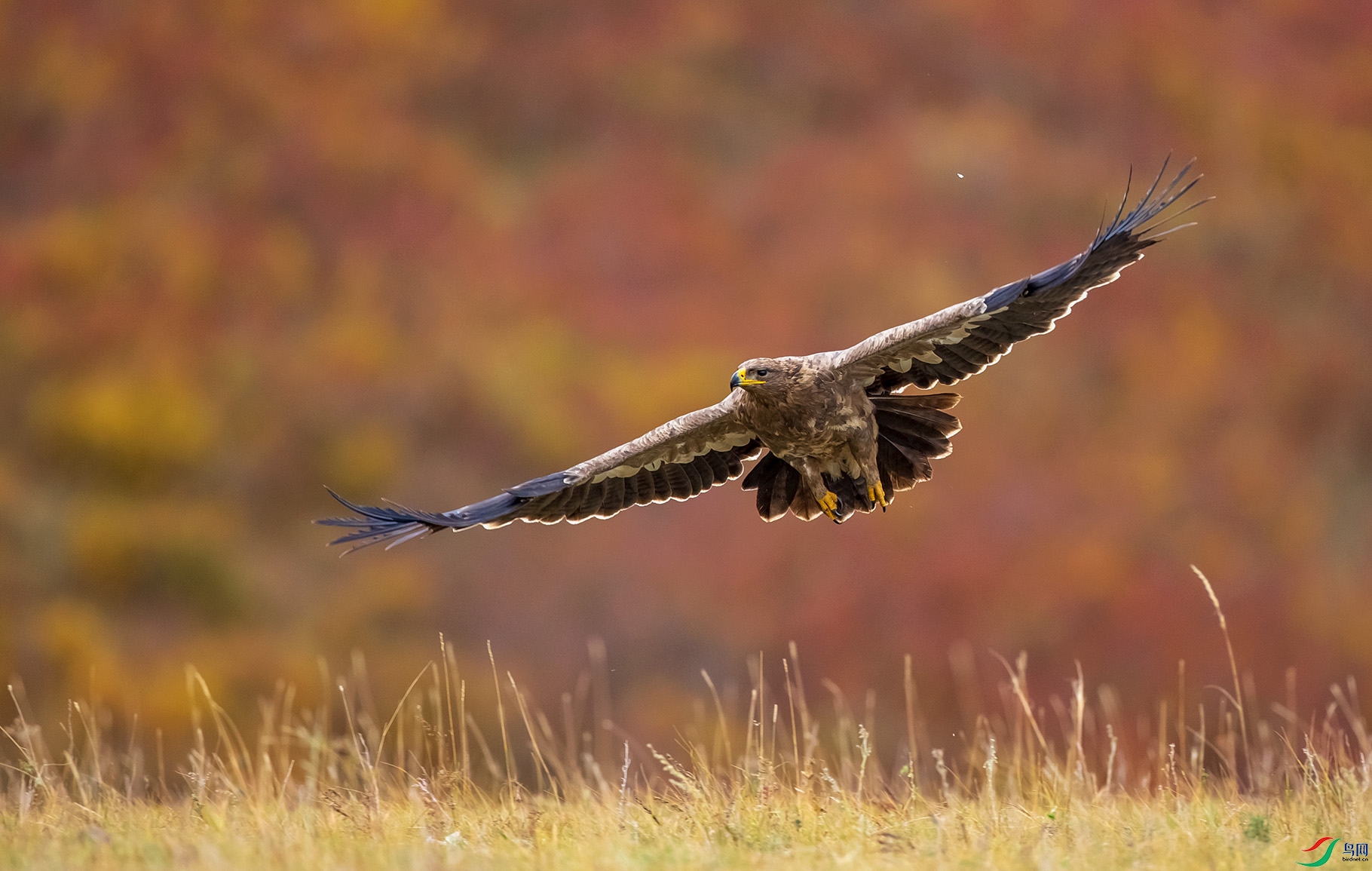 027A6182--1.jpg