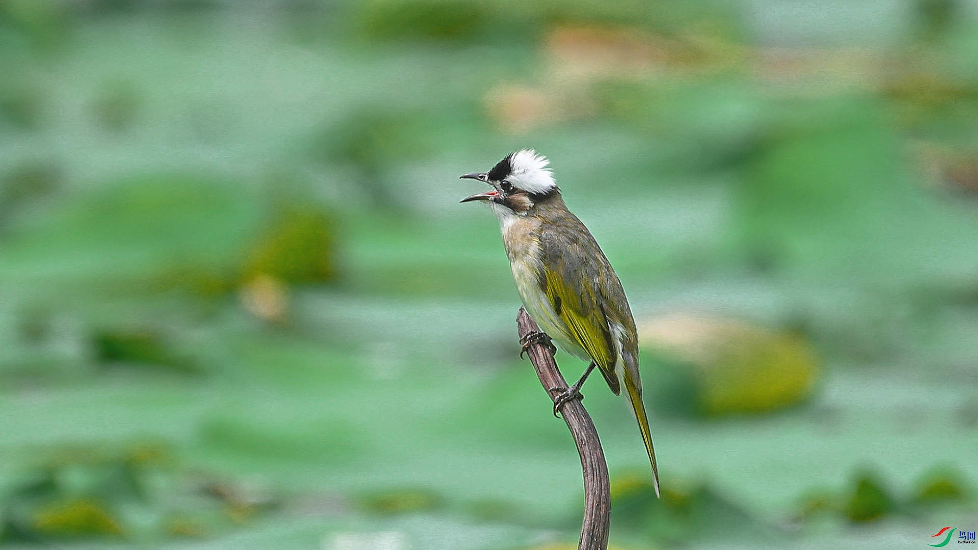 DSC_0711 ����.jpg