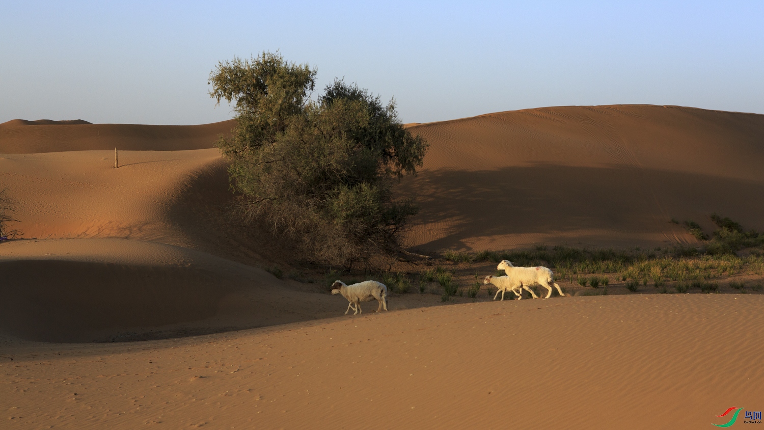 _V4C1106 ����.jpg