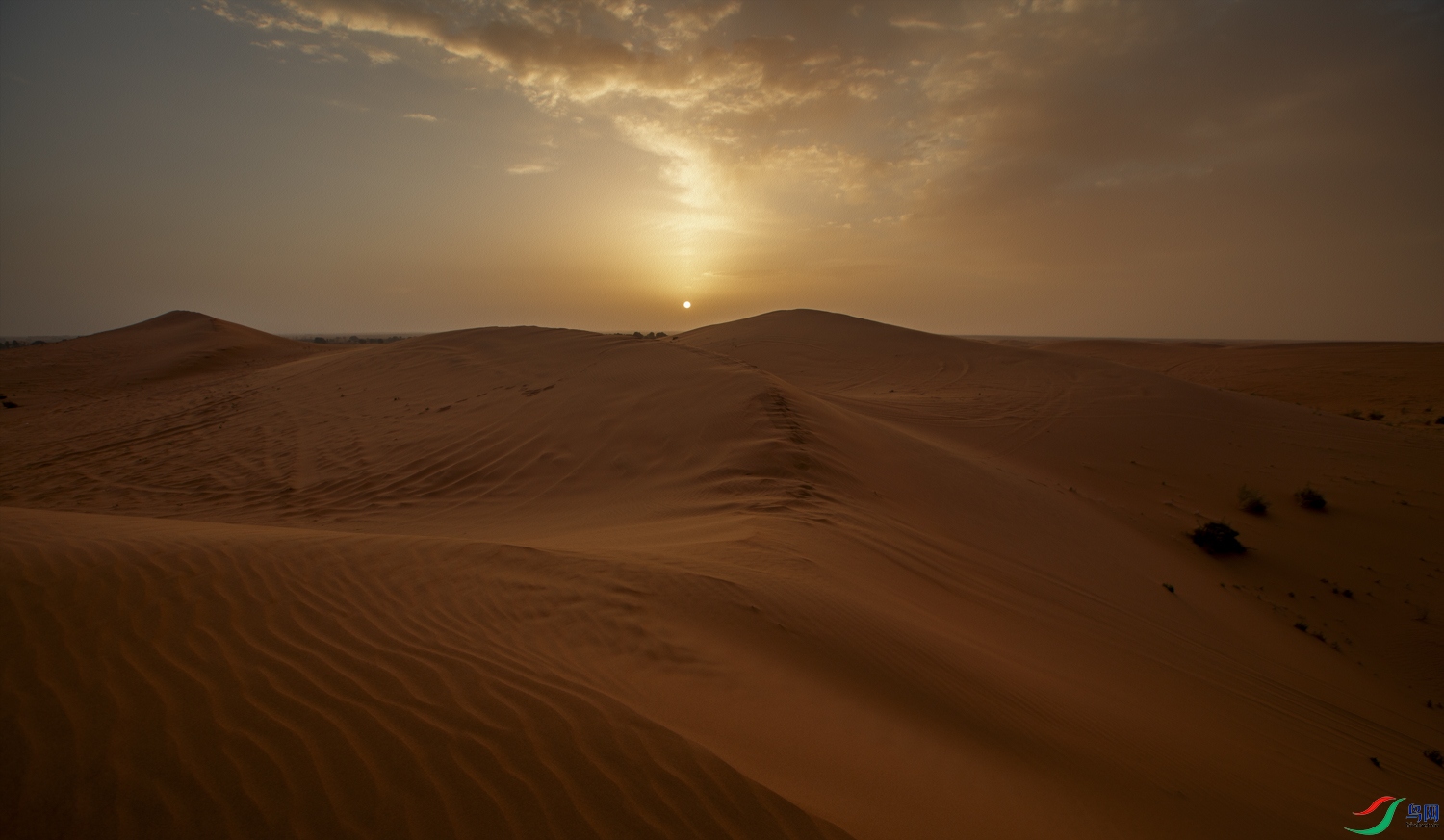 0S9A2411 ����.jpg