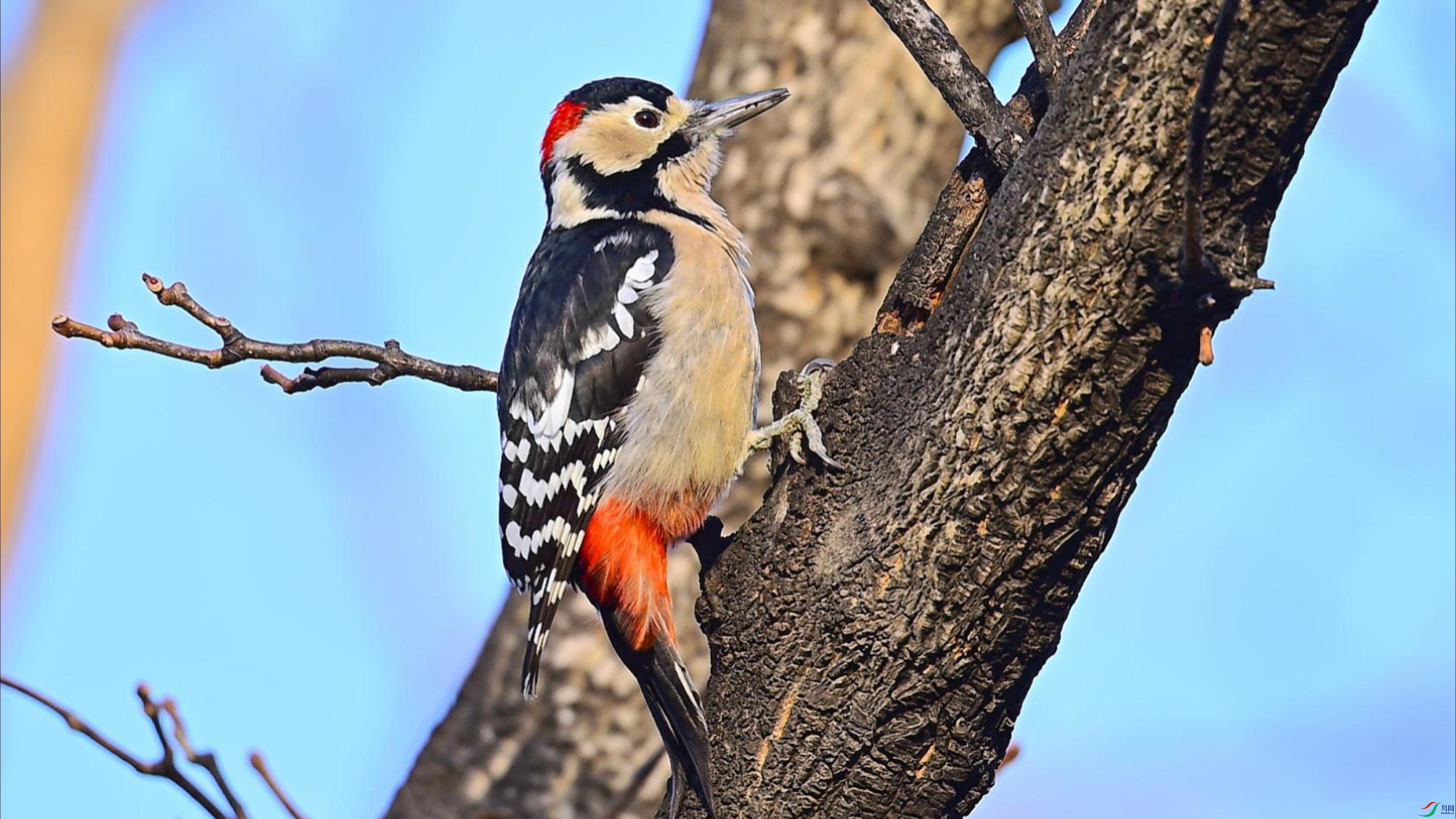 �����ľ��