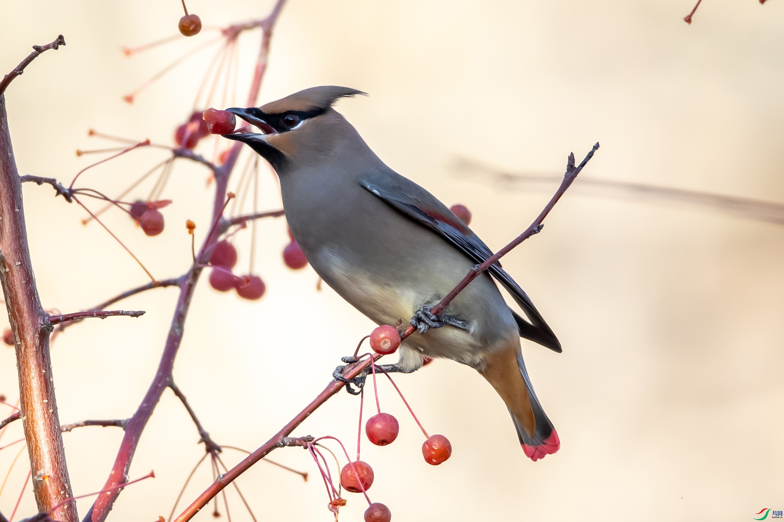 B26I6025 С̫ƽ��OK .jpg