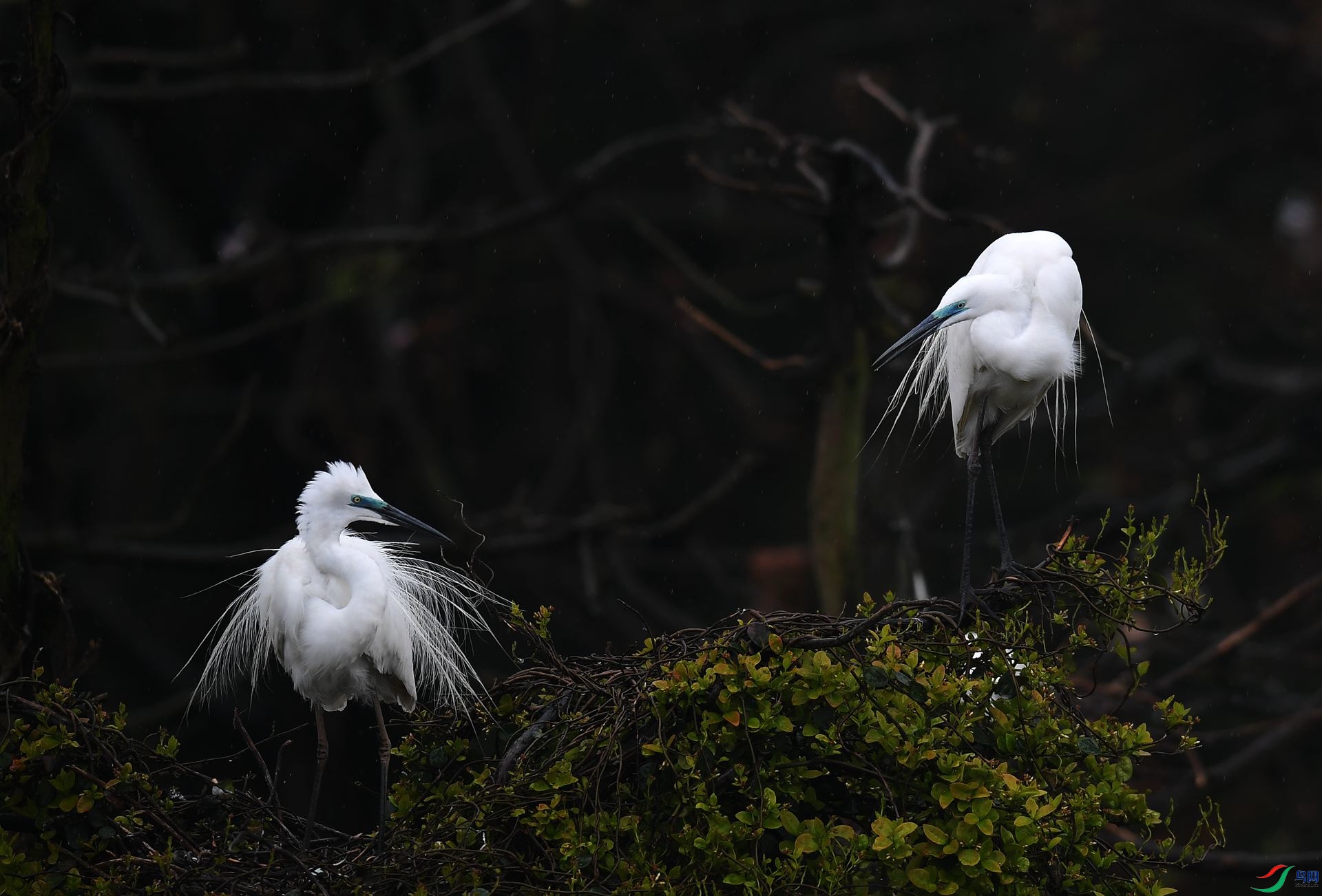 DSC_7990_����.jpg
