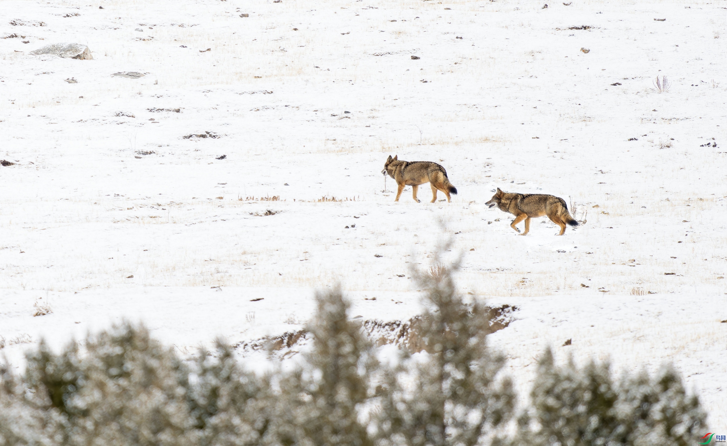 ���� (3)-01.jpg