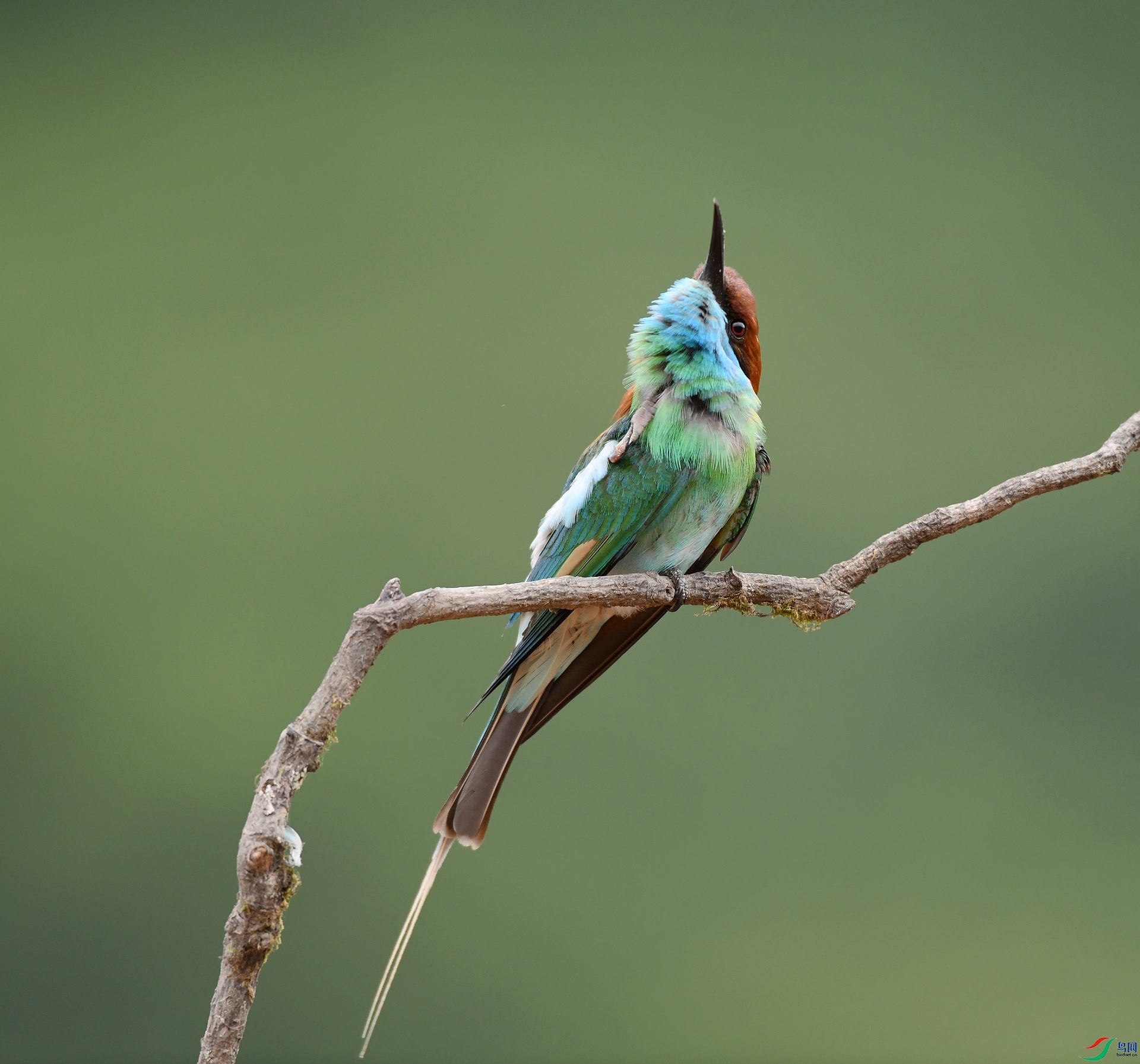 DSC_1117.jpg