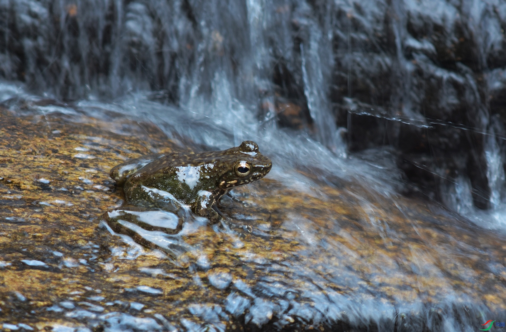 ʯ��12017 9 24 ����ƽ��¥��ӹ�����֣����ֻ�13905092687.jpg