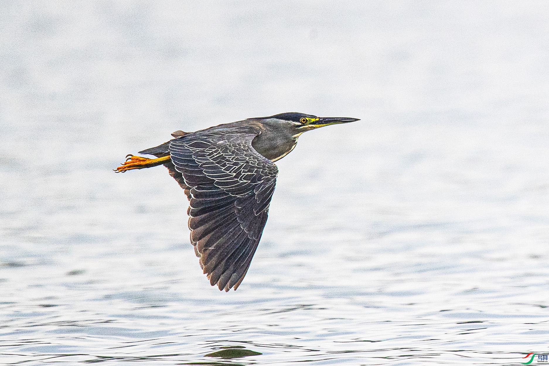 _90I0770 ����.jpg