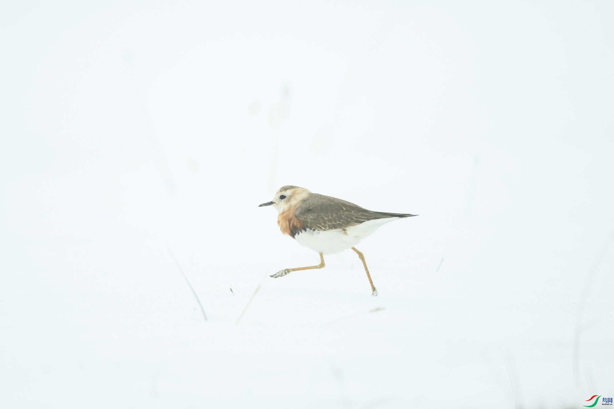 _DSC3569.jpg