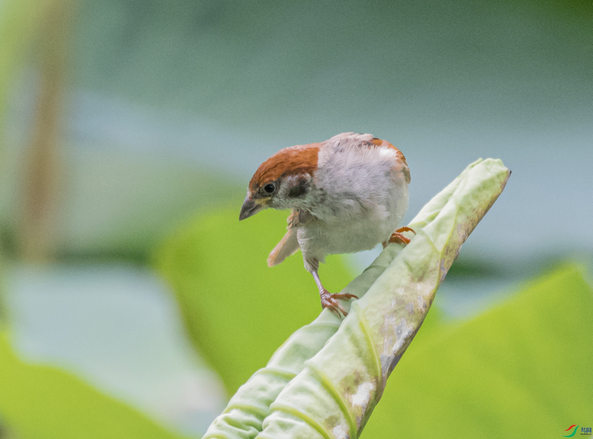 DSC_3408_��ͼ�� ����.jpg