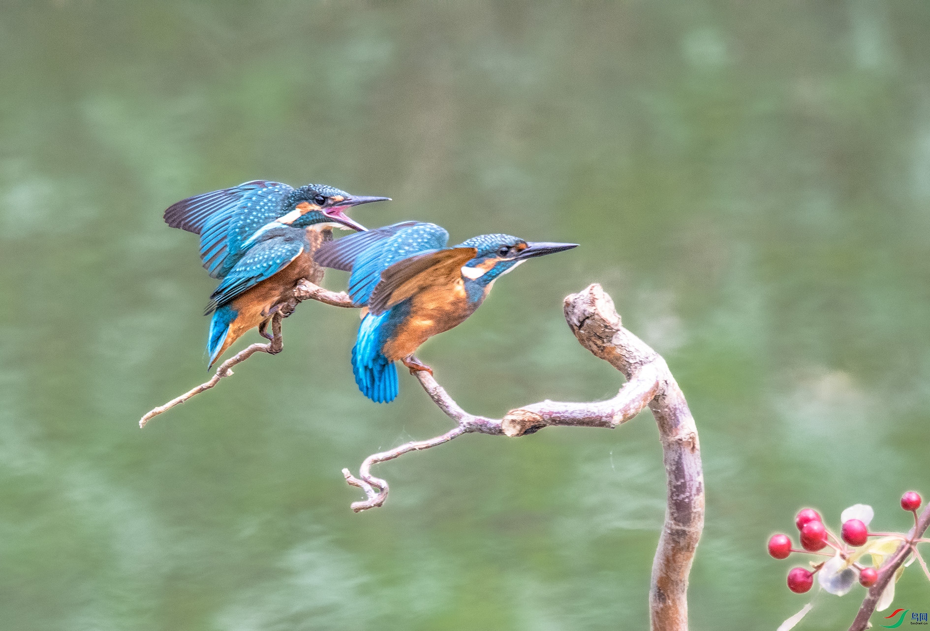 DSC_5559_��ͼ�� ����.jpg