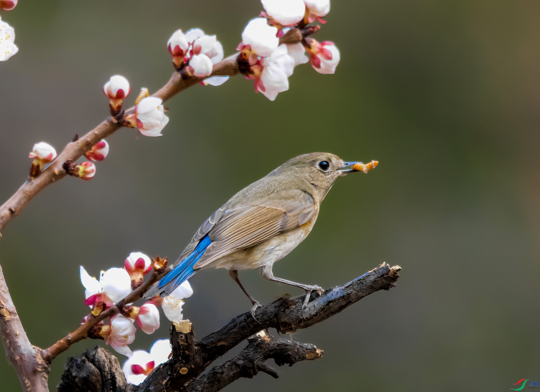 DSC_3453_��ͼ�� ���� 2.jpg