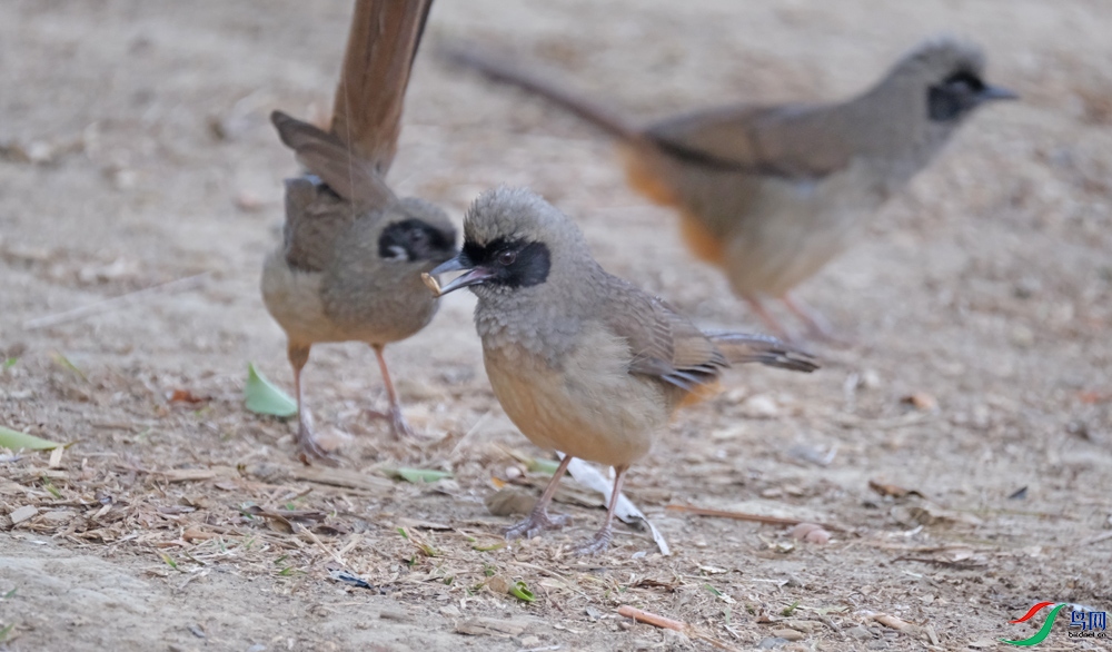 DSCF9579.1.jpg