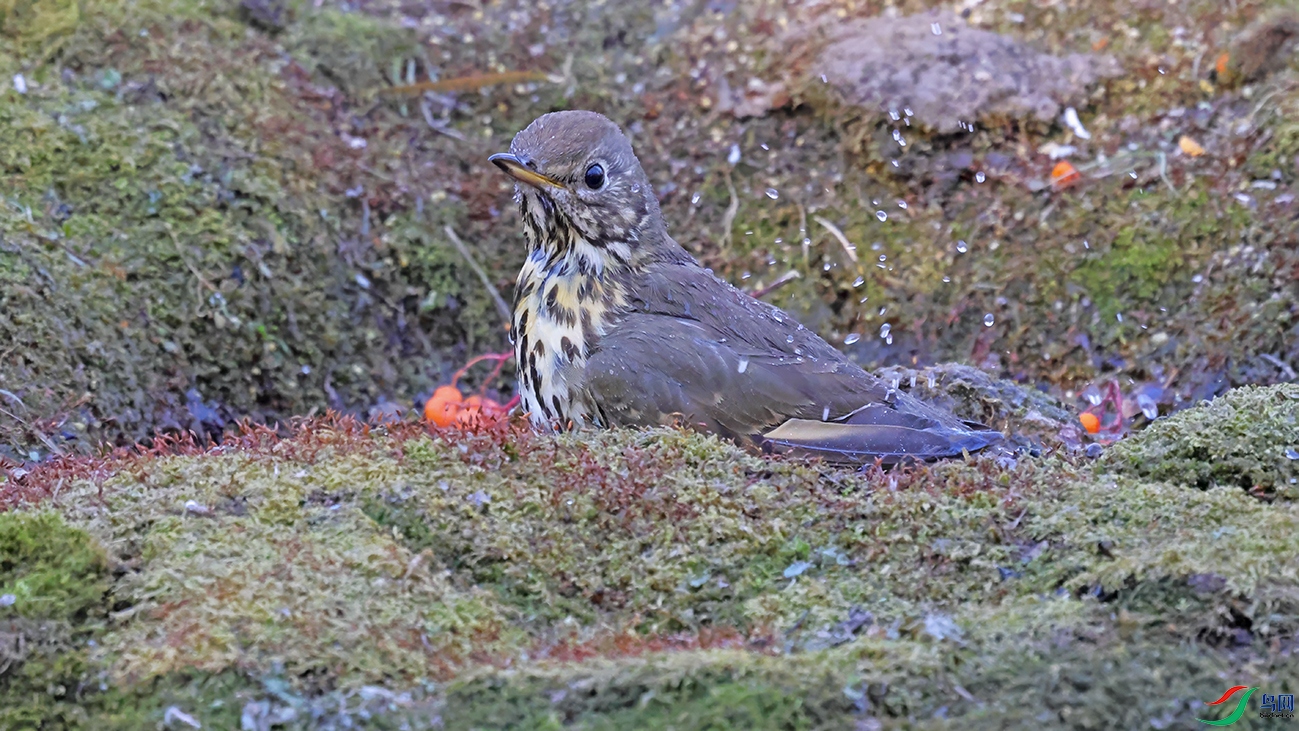 3U2A2050 ���� 2.jpg