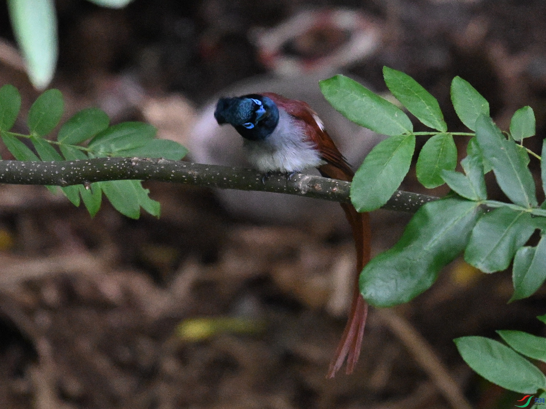 DSC_8150.JPG