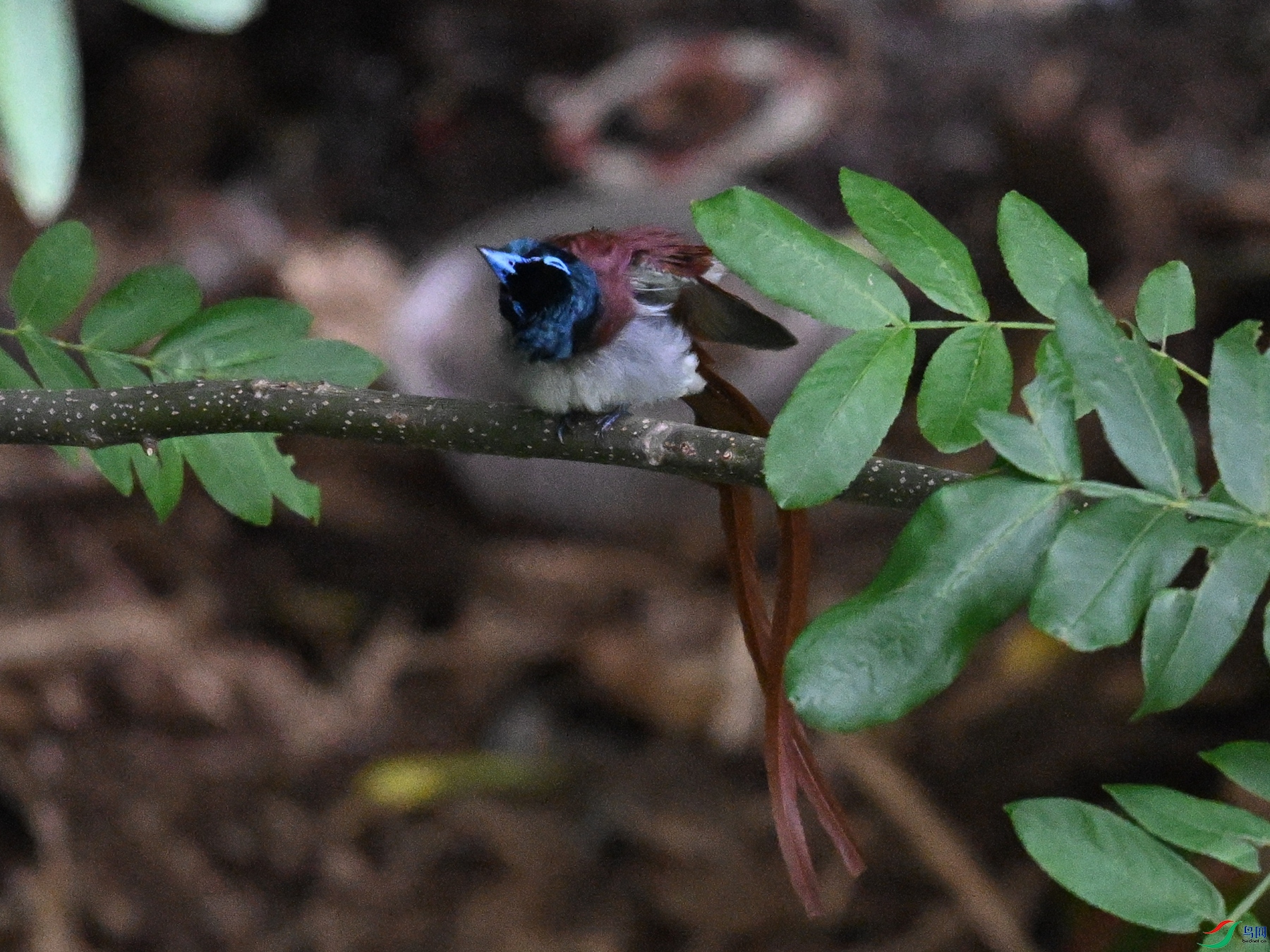DSC_8149.JPG
