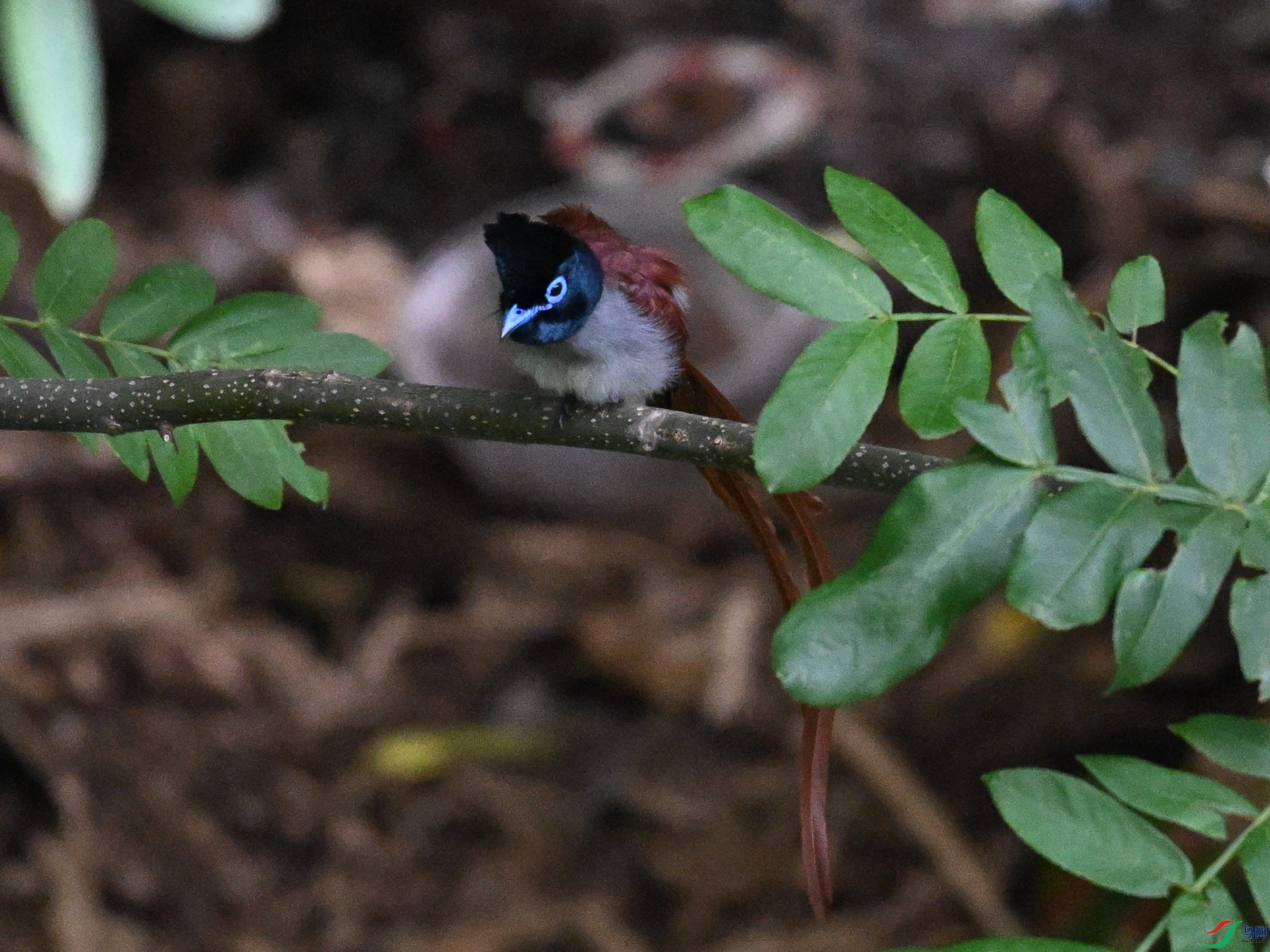 DSC_8147.JPG
