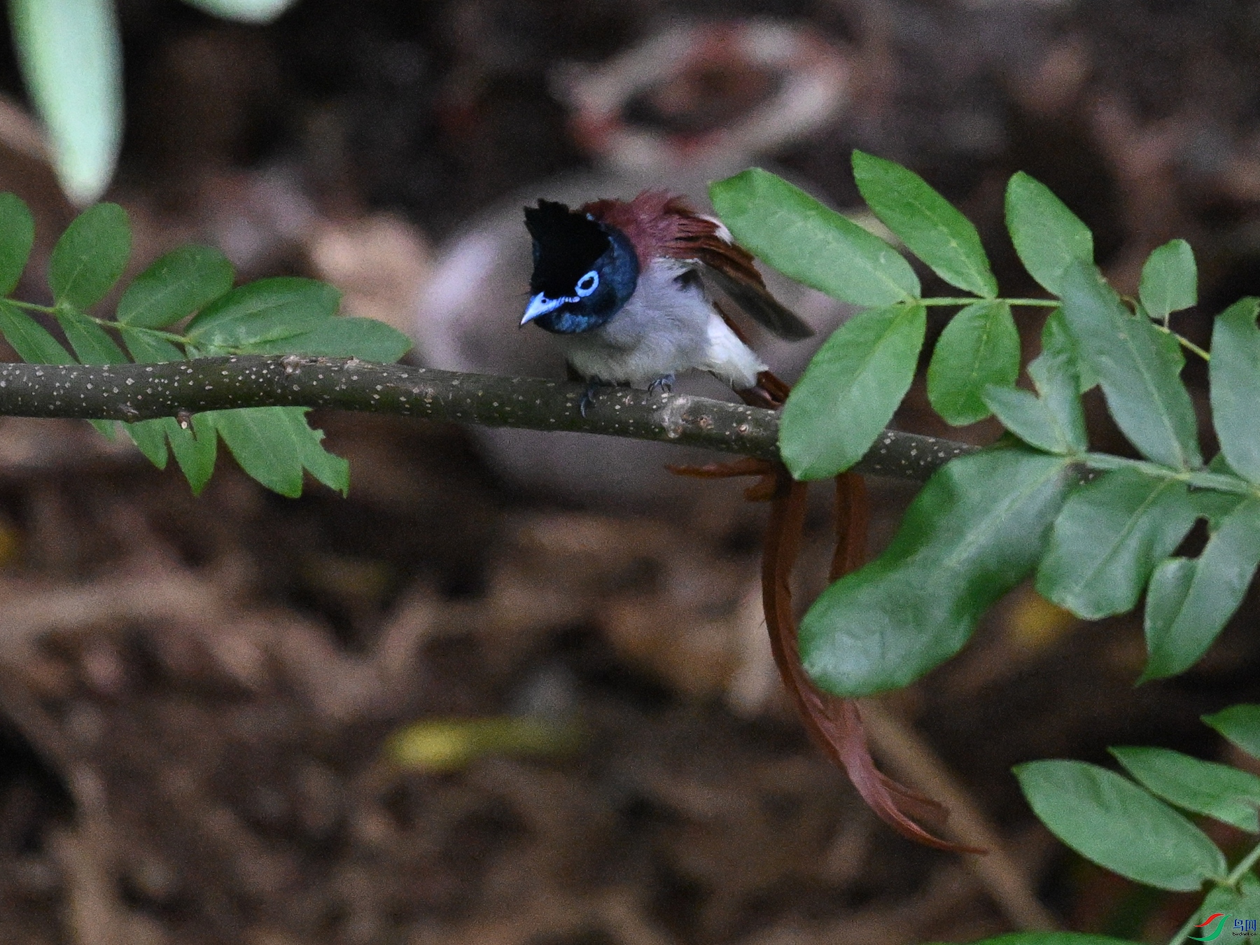 DSC_8144.JPG