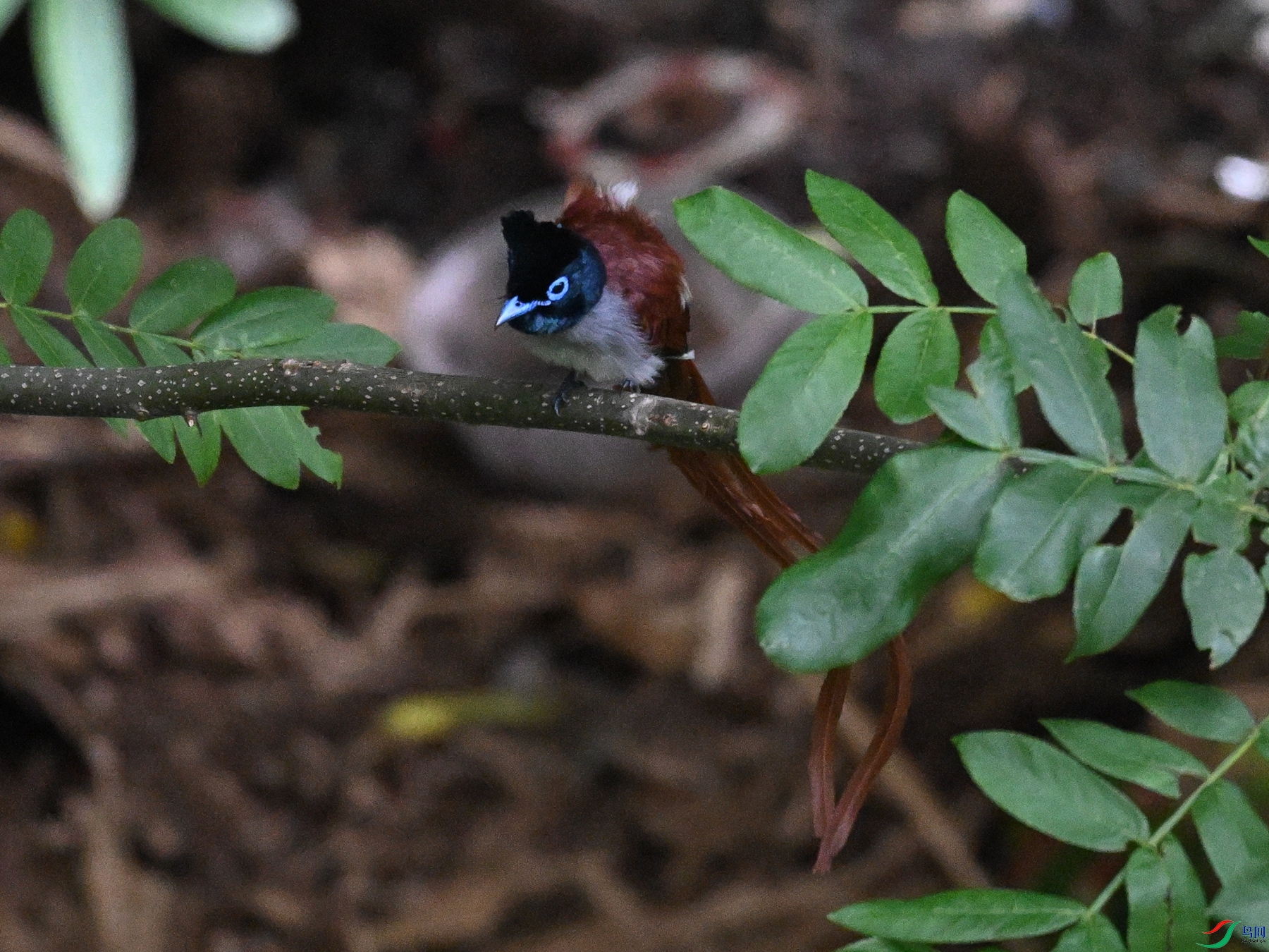 DSC_8143.JPG