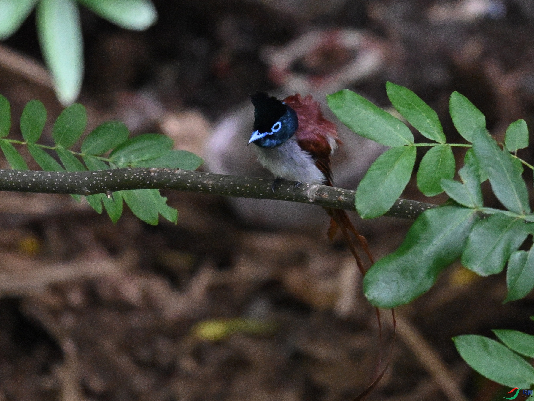 DSC_8138.JPG