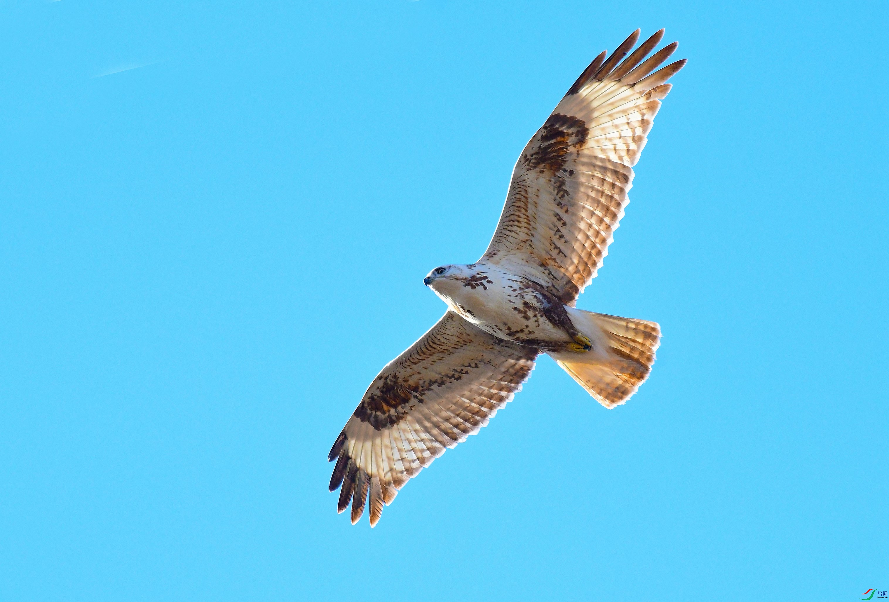 DSC_8080.JPG